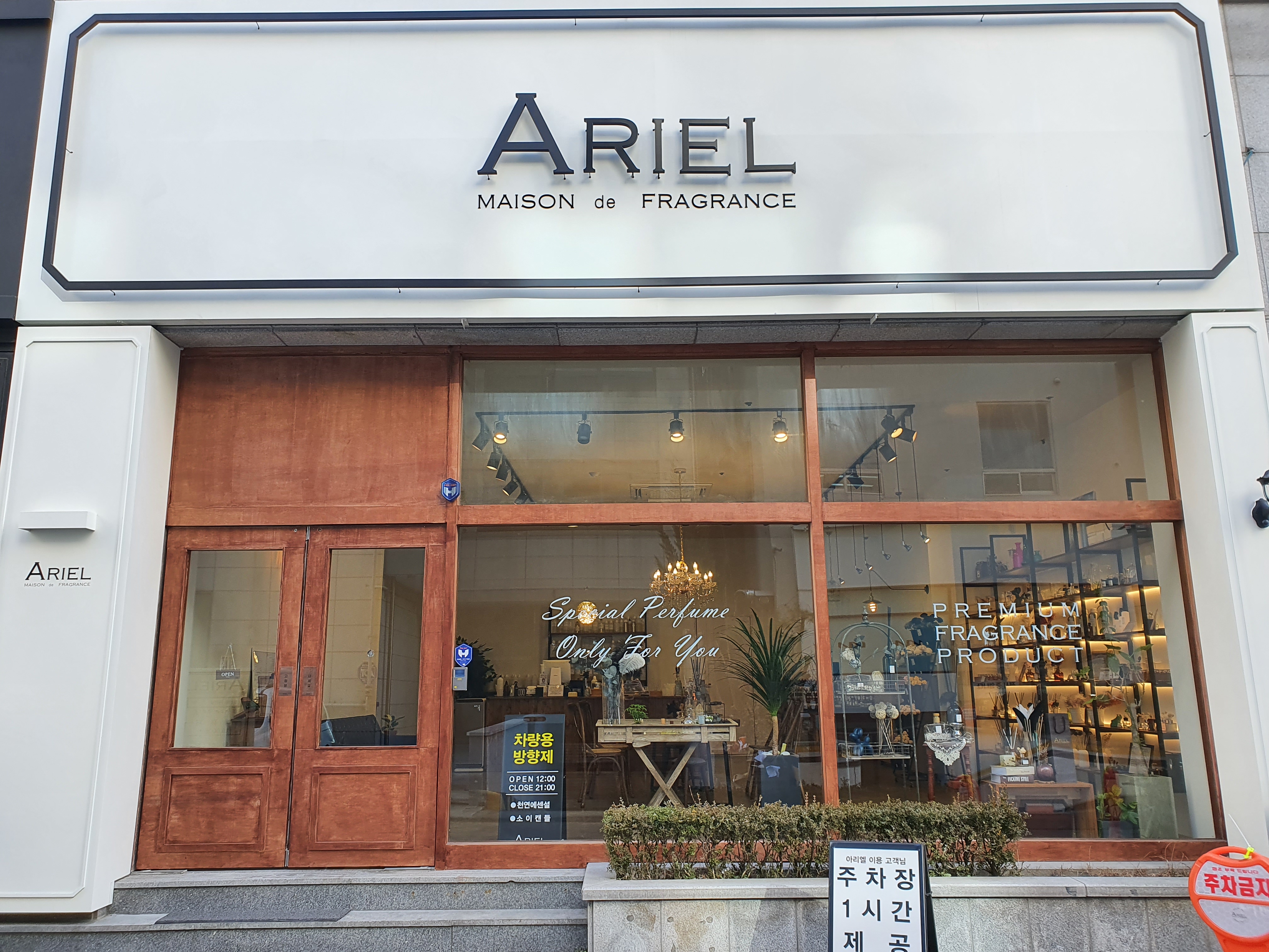 아리엘