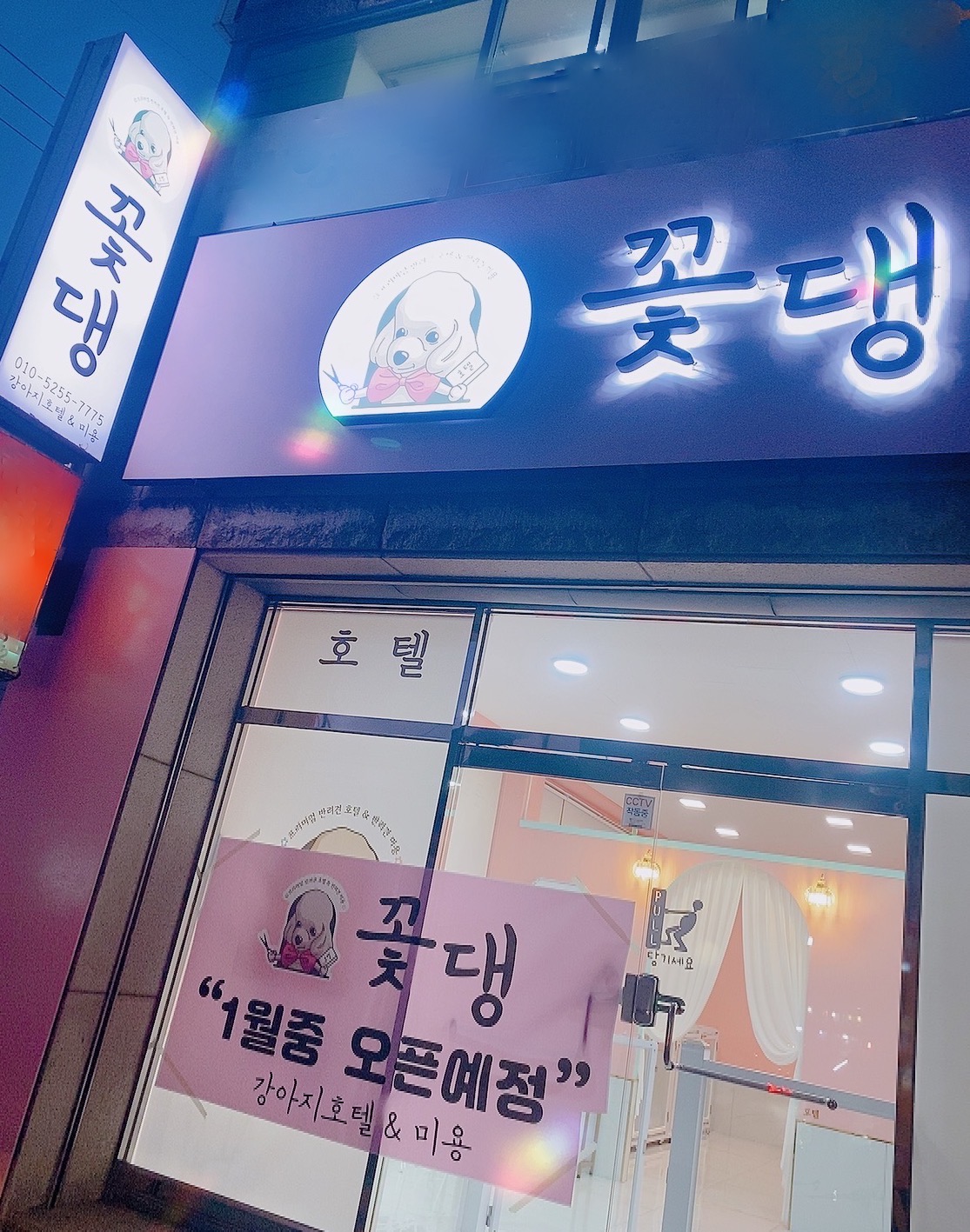 꽃댕