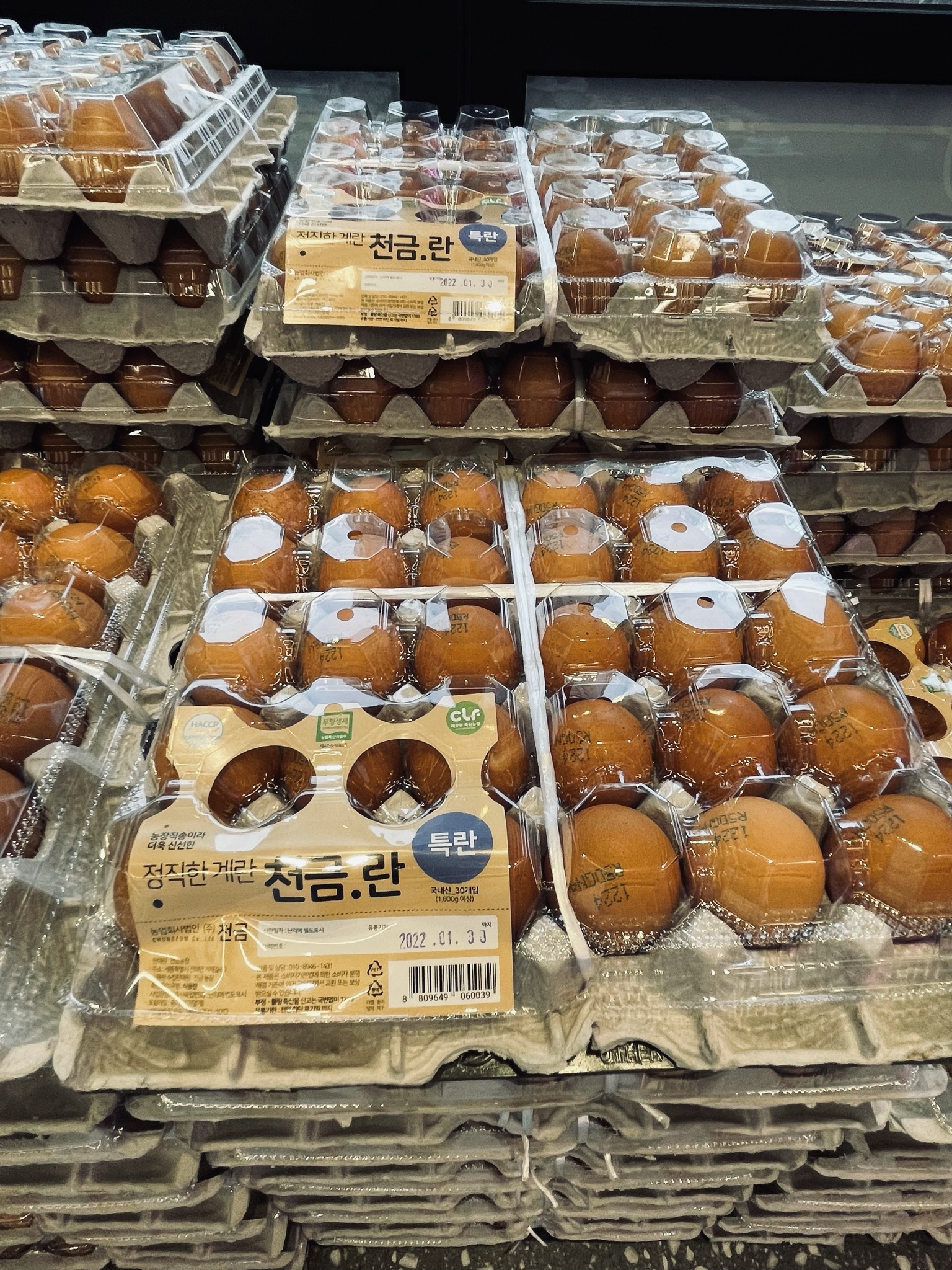 청년미트 성성점