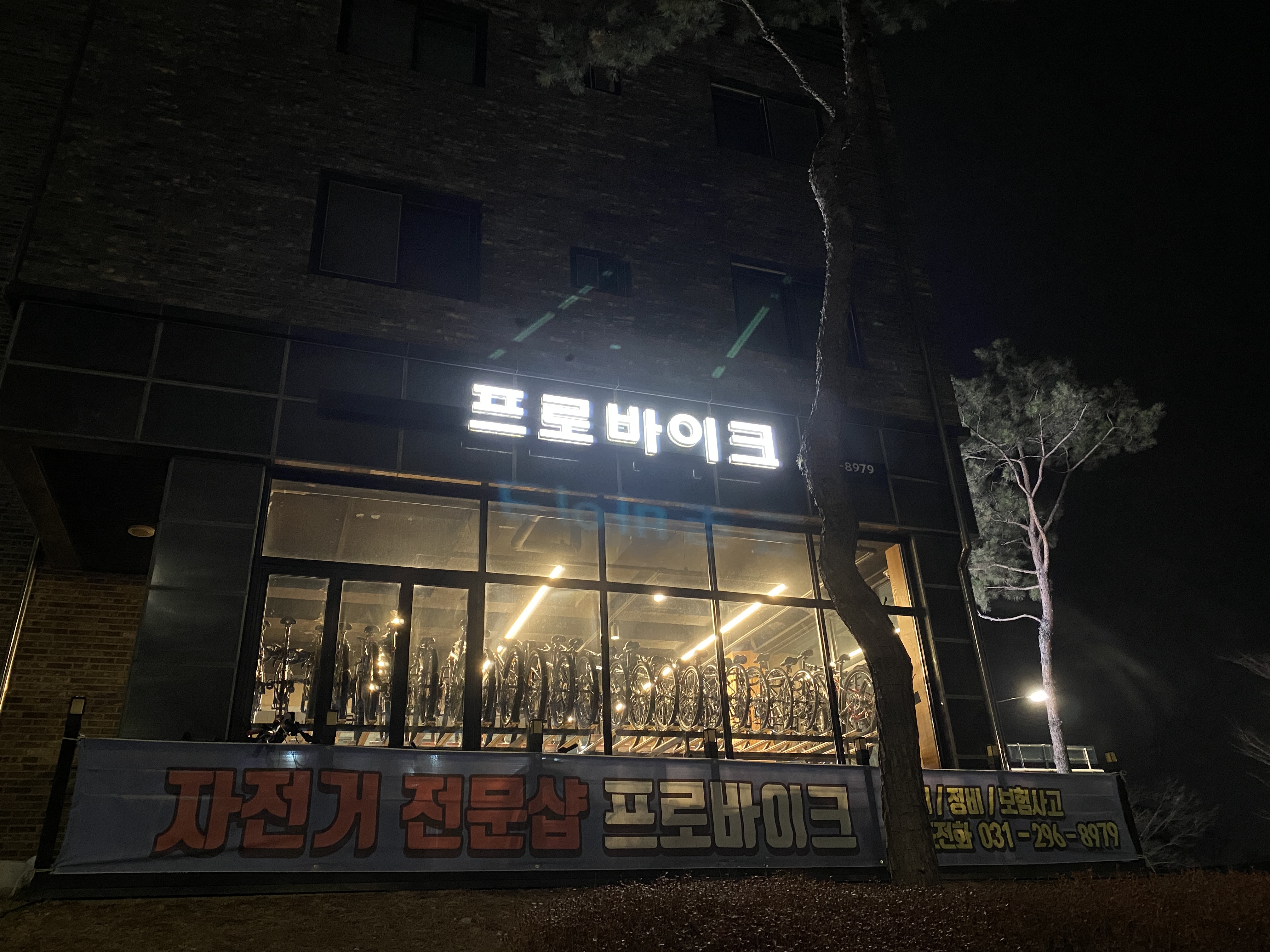 프로바이크