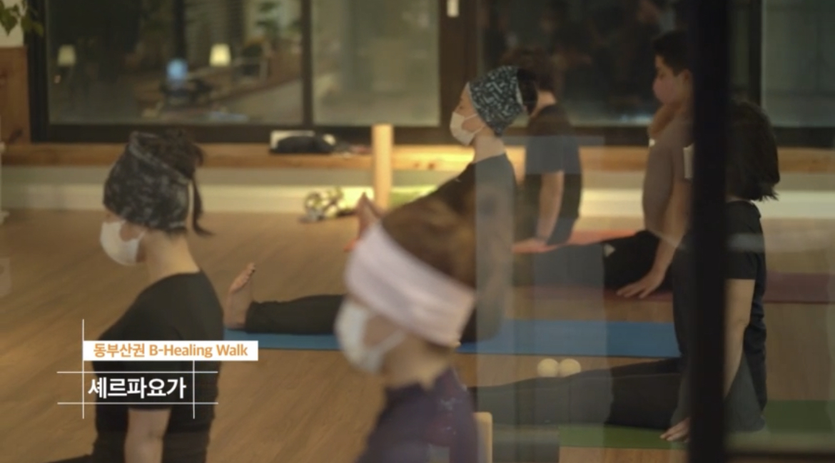 셰르파 요가명상 본원 대표 이미지