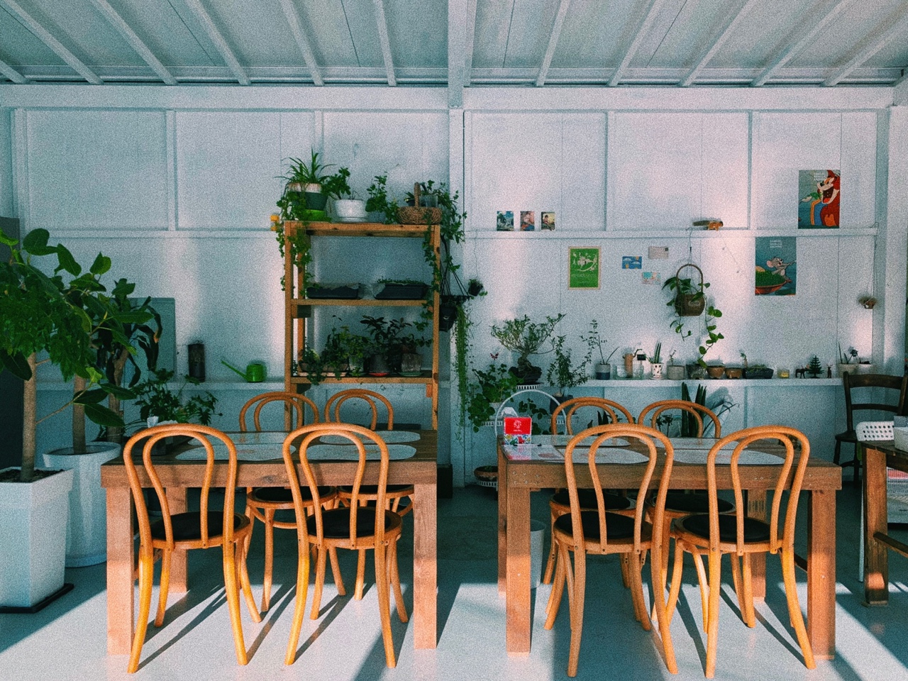 초리골 도토리새싹요리