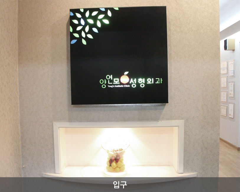 양연모성형외과의원 대표 이미지