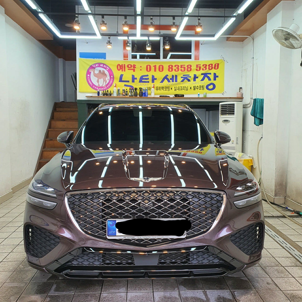 낙타세차장