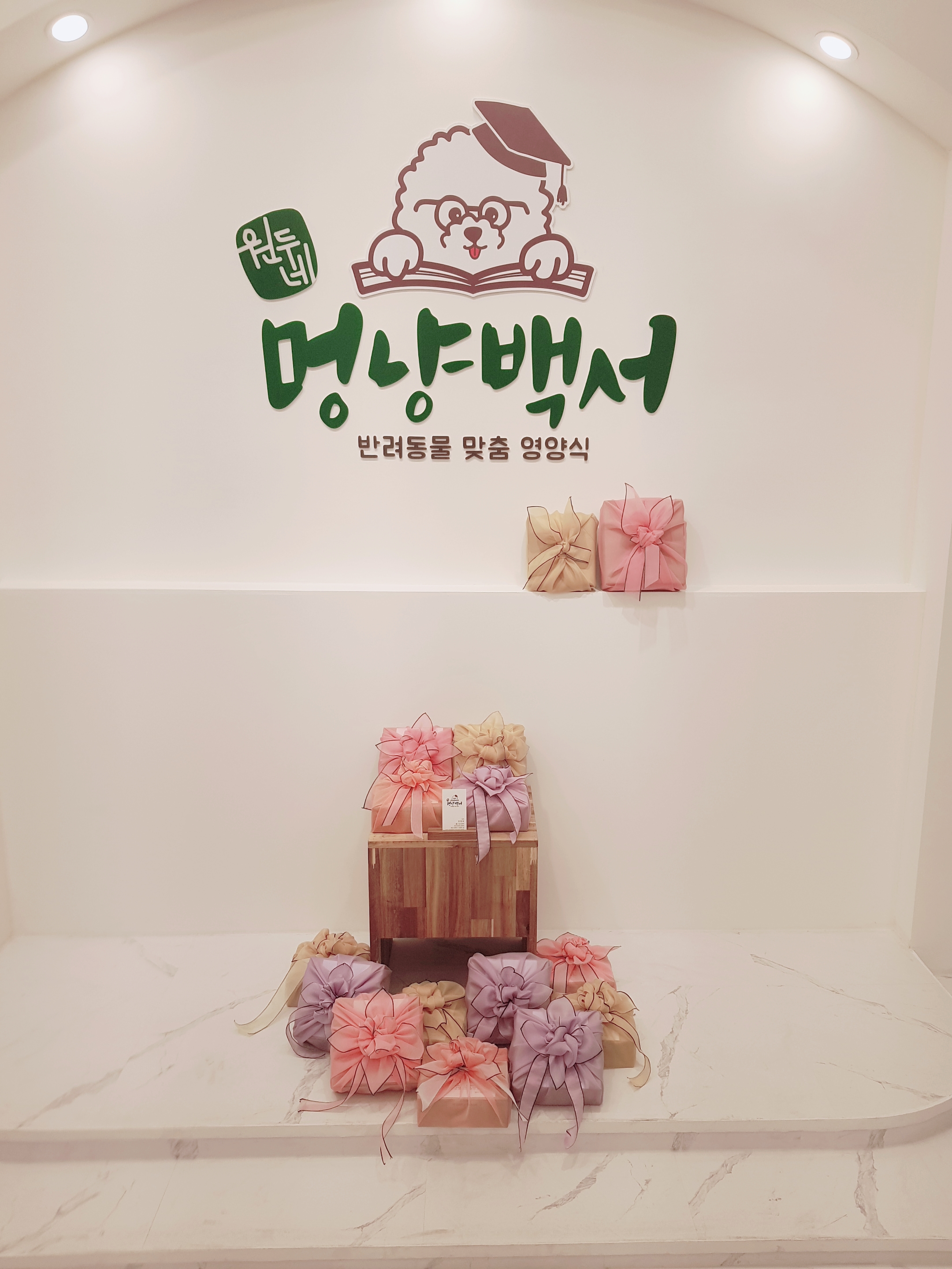 애견용품전문업체 추천 부산 연제구 지역 우수업체 강아지목줄 강아지쿨나시 강아지쿨조끼 원두네 멍냥백서
