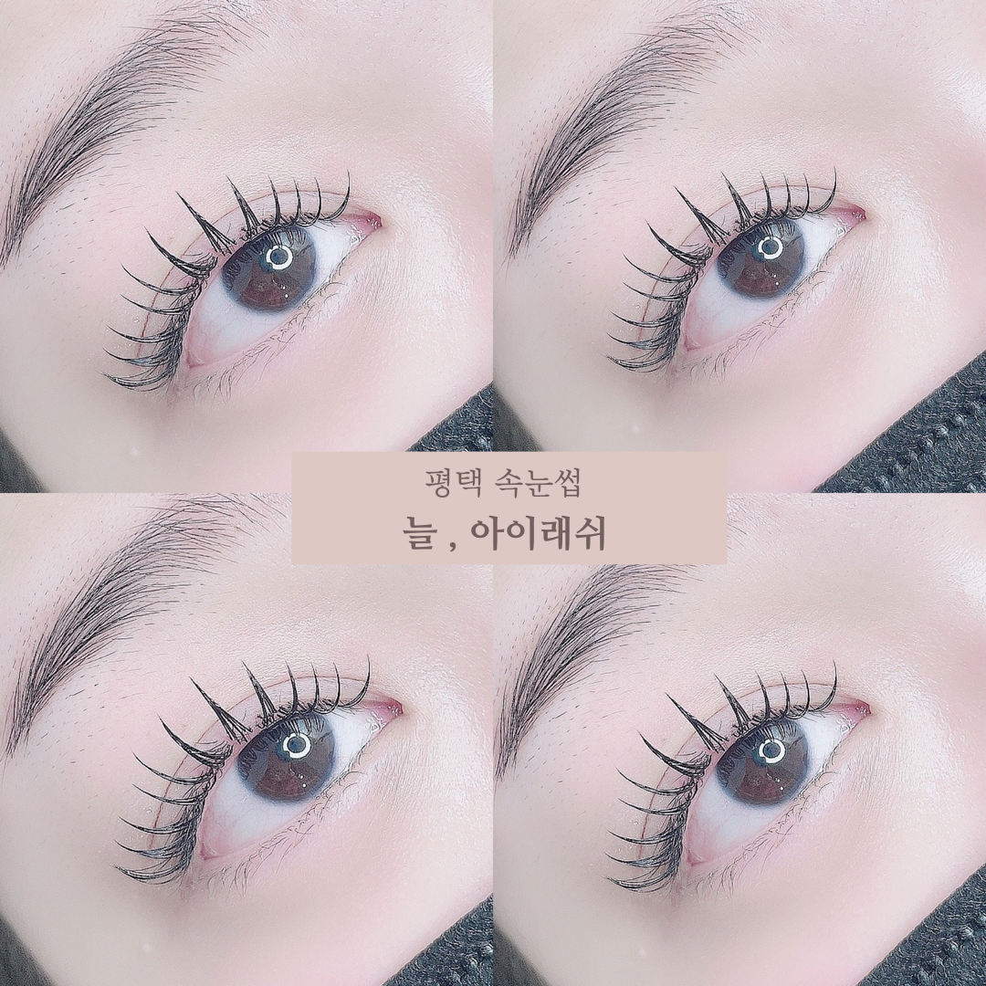 늘 아이래쉬