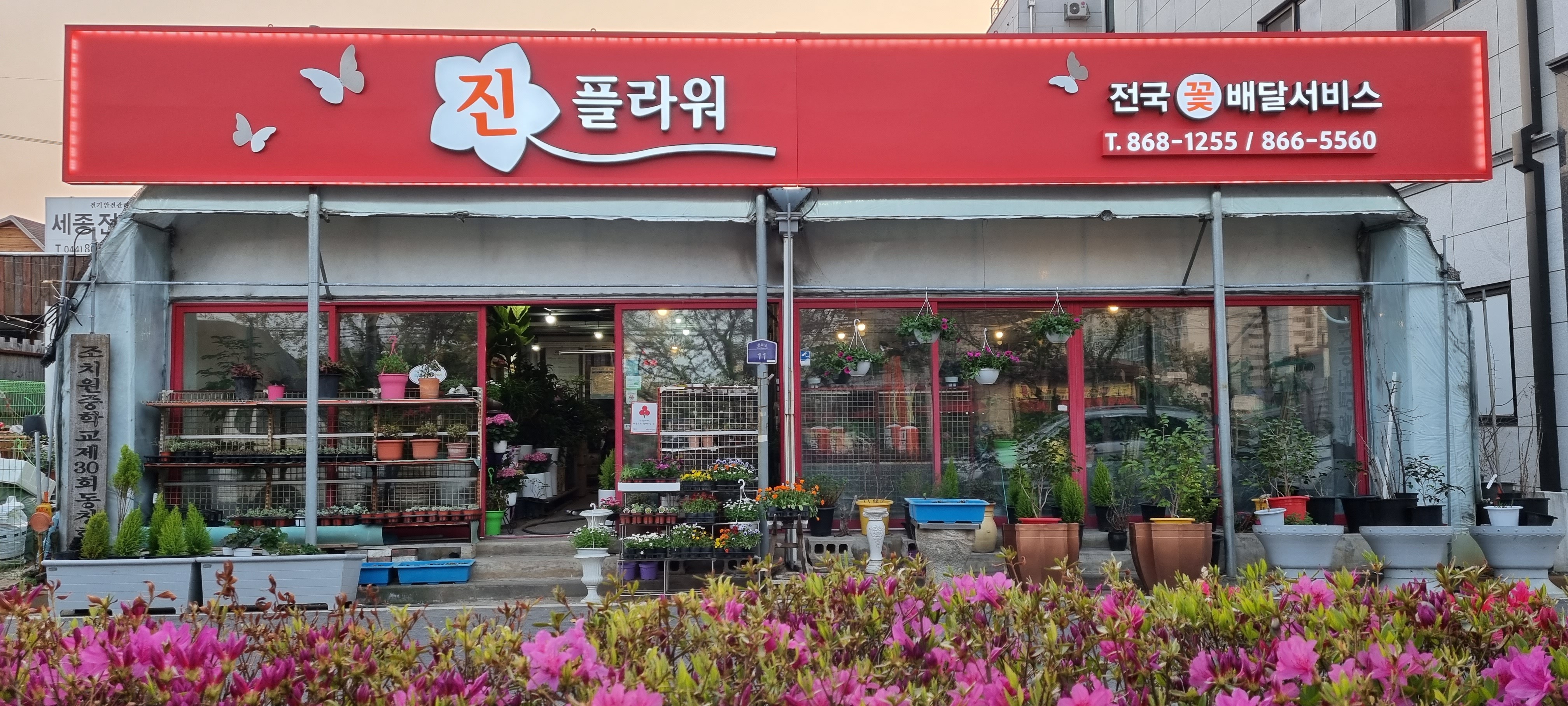 진플라워