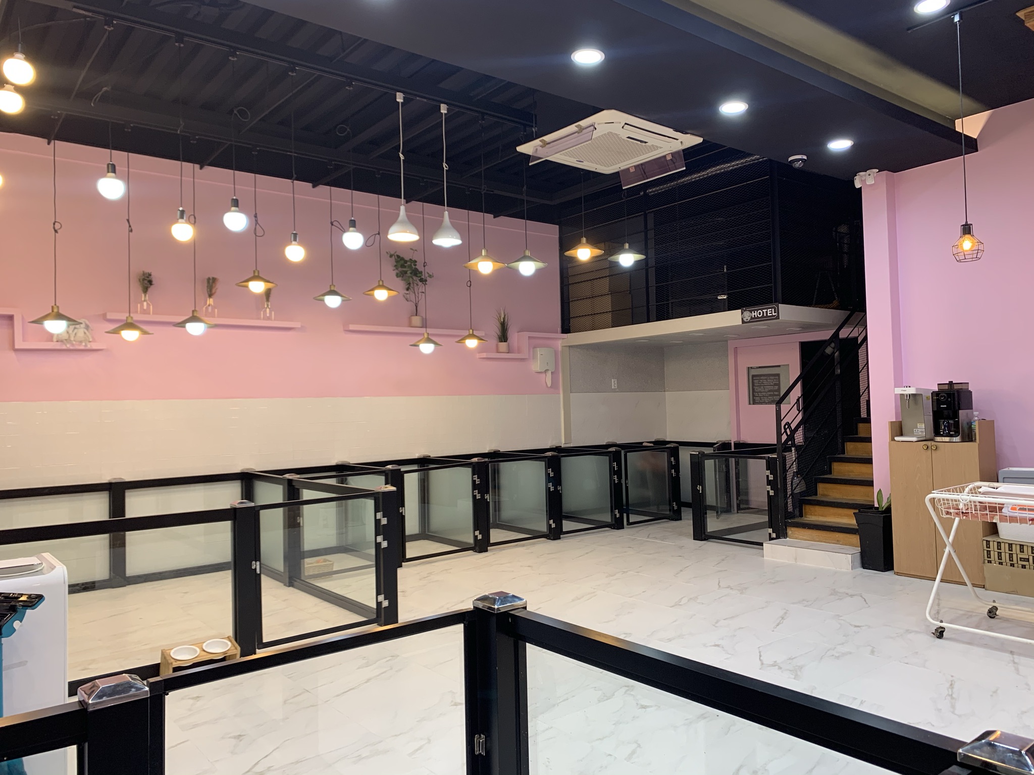 빛이날개 대표 이미지