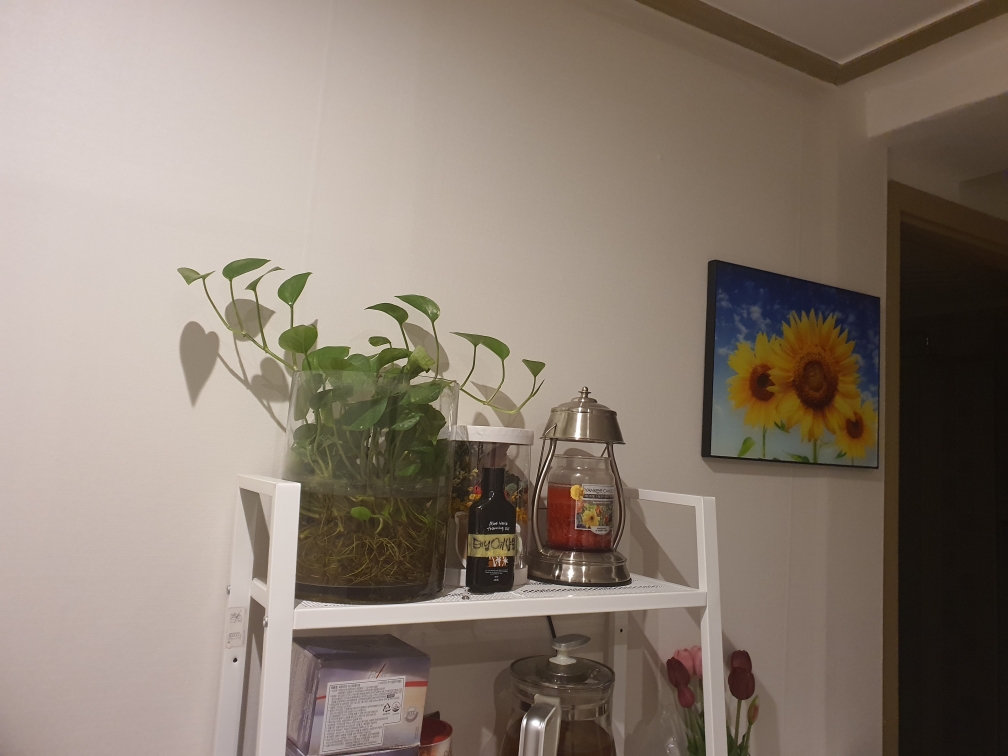 아로마이야기 photo 3