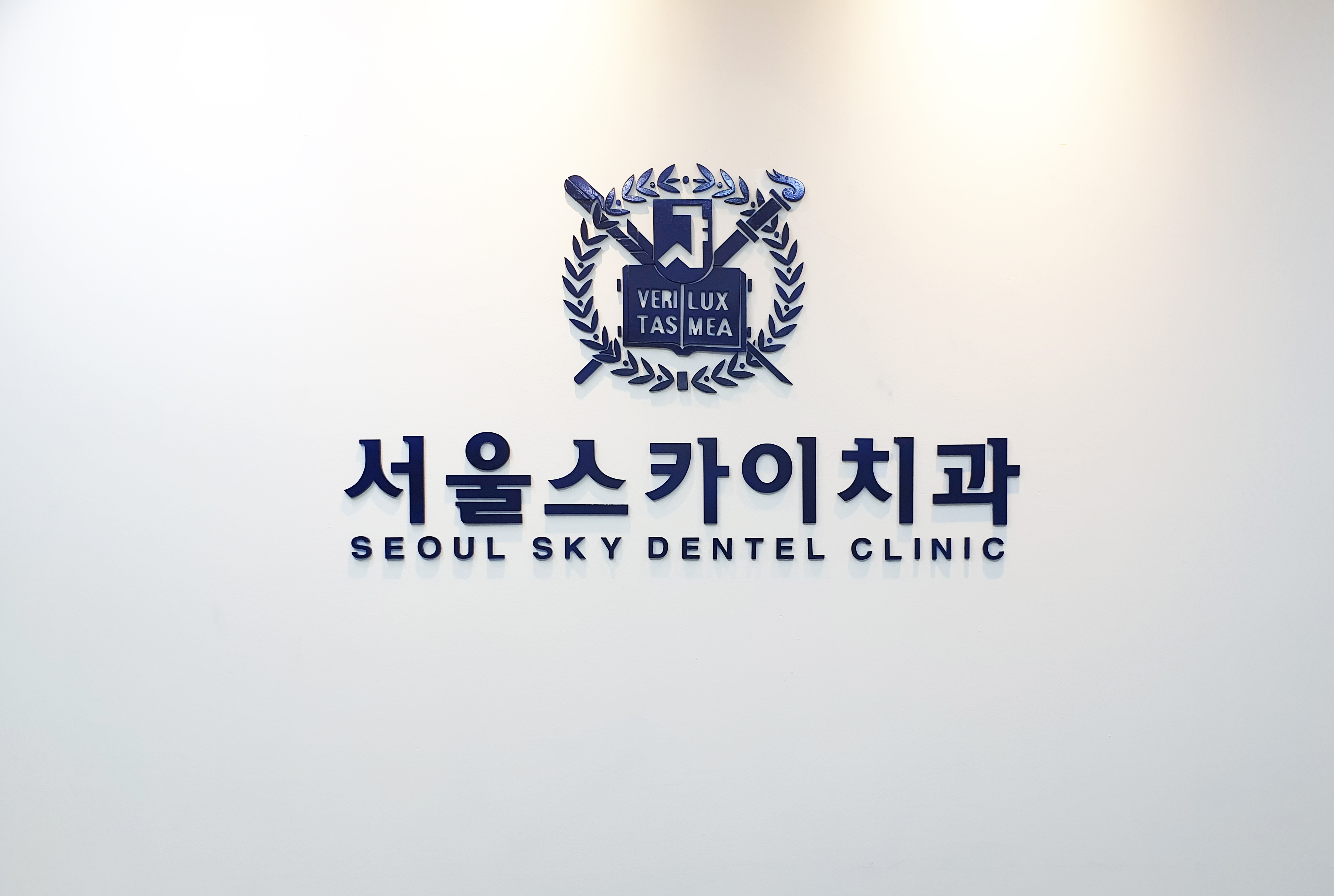서울스카이치과의원
