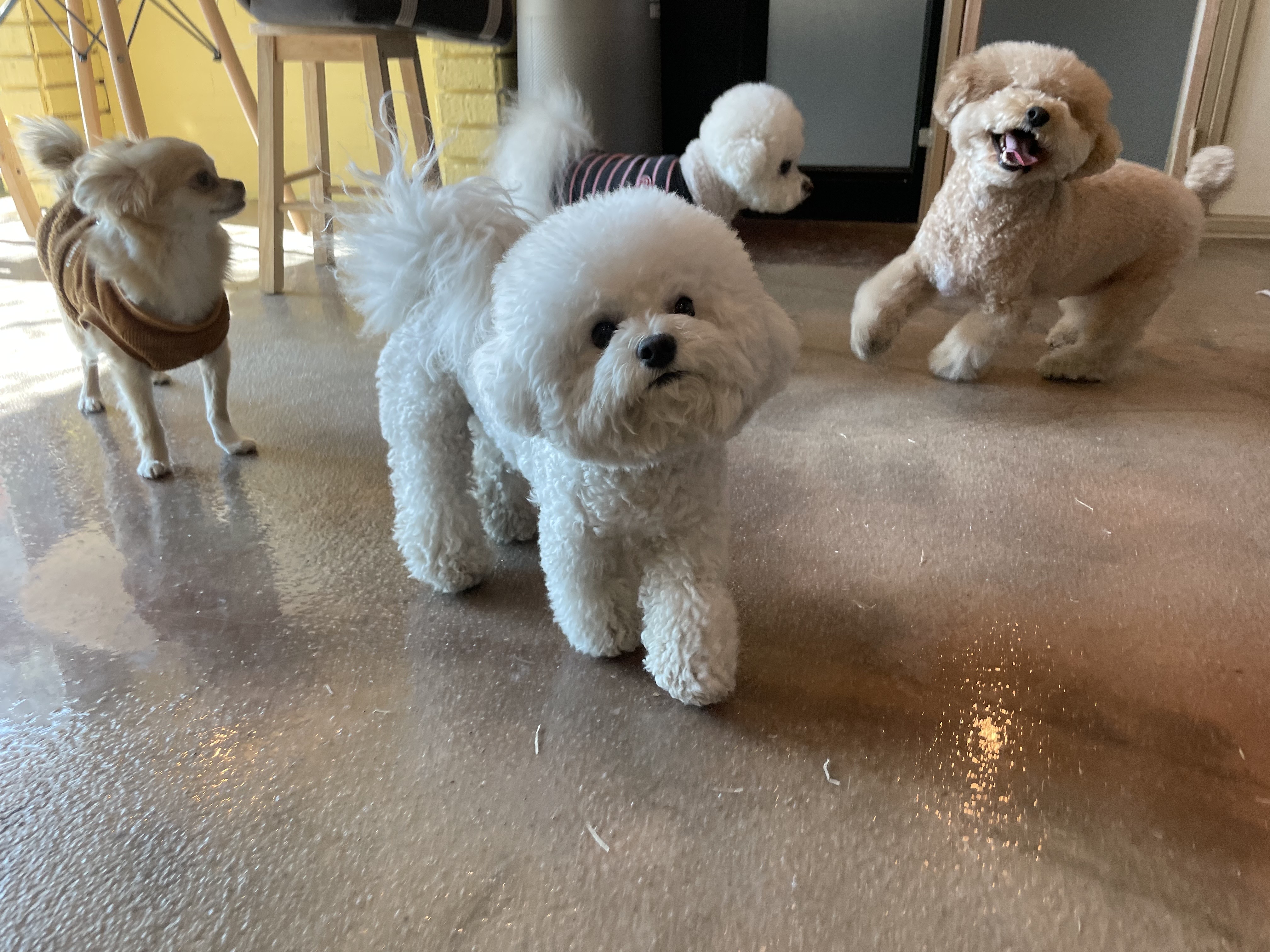 오킨더 대표 이미지