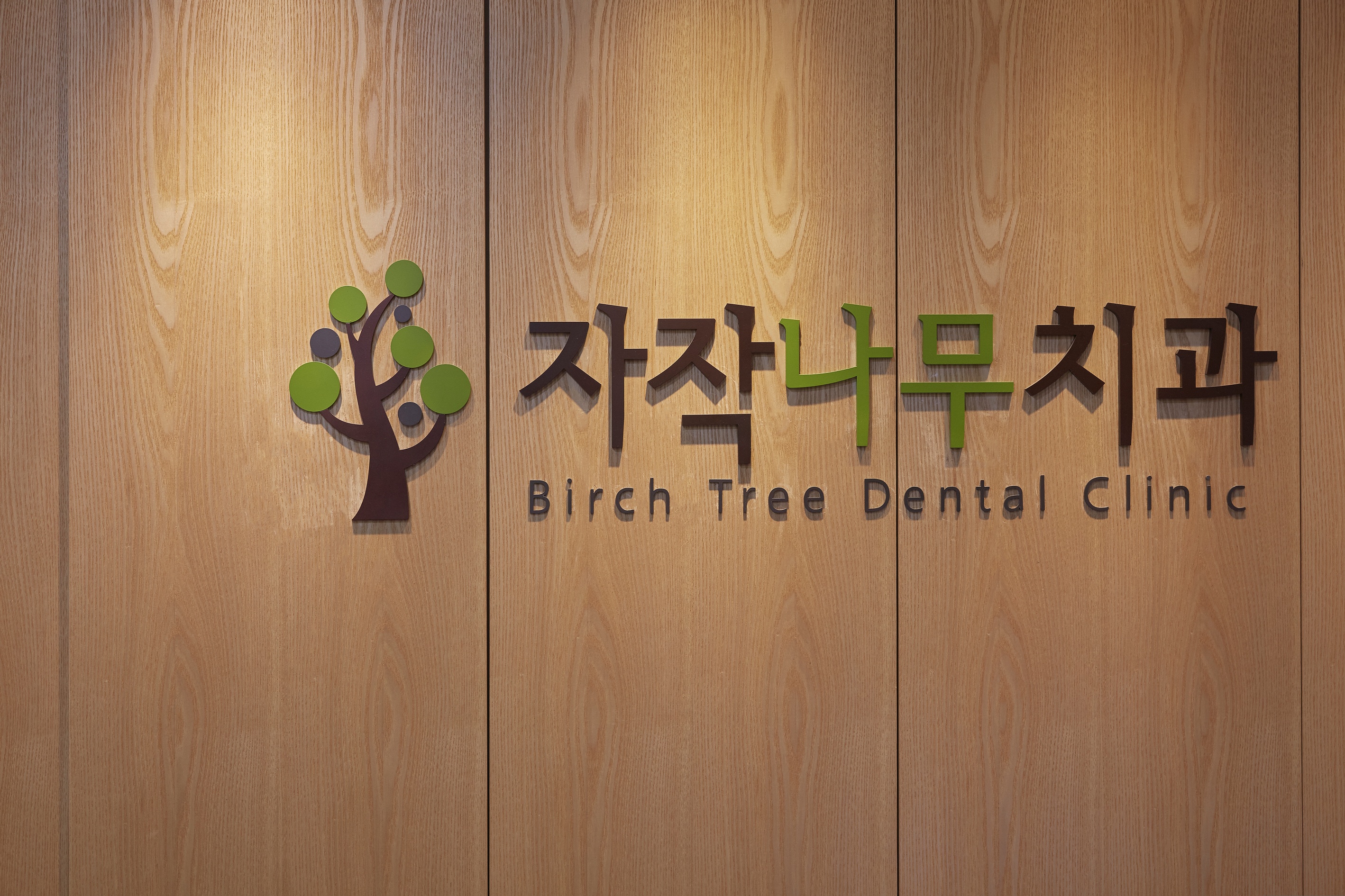 자작나무치과의원 대표 이미지