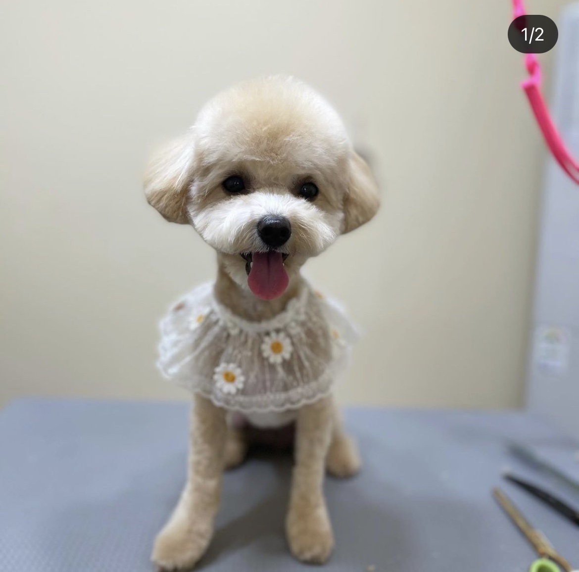 머뭉공간 대표 이미지