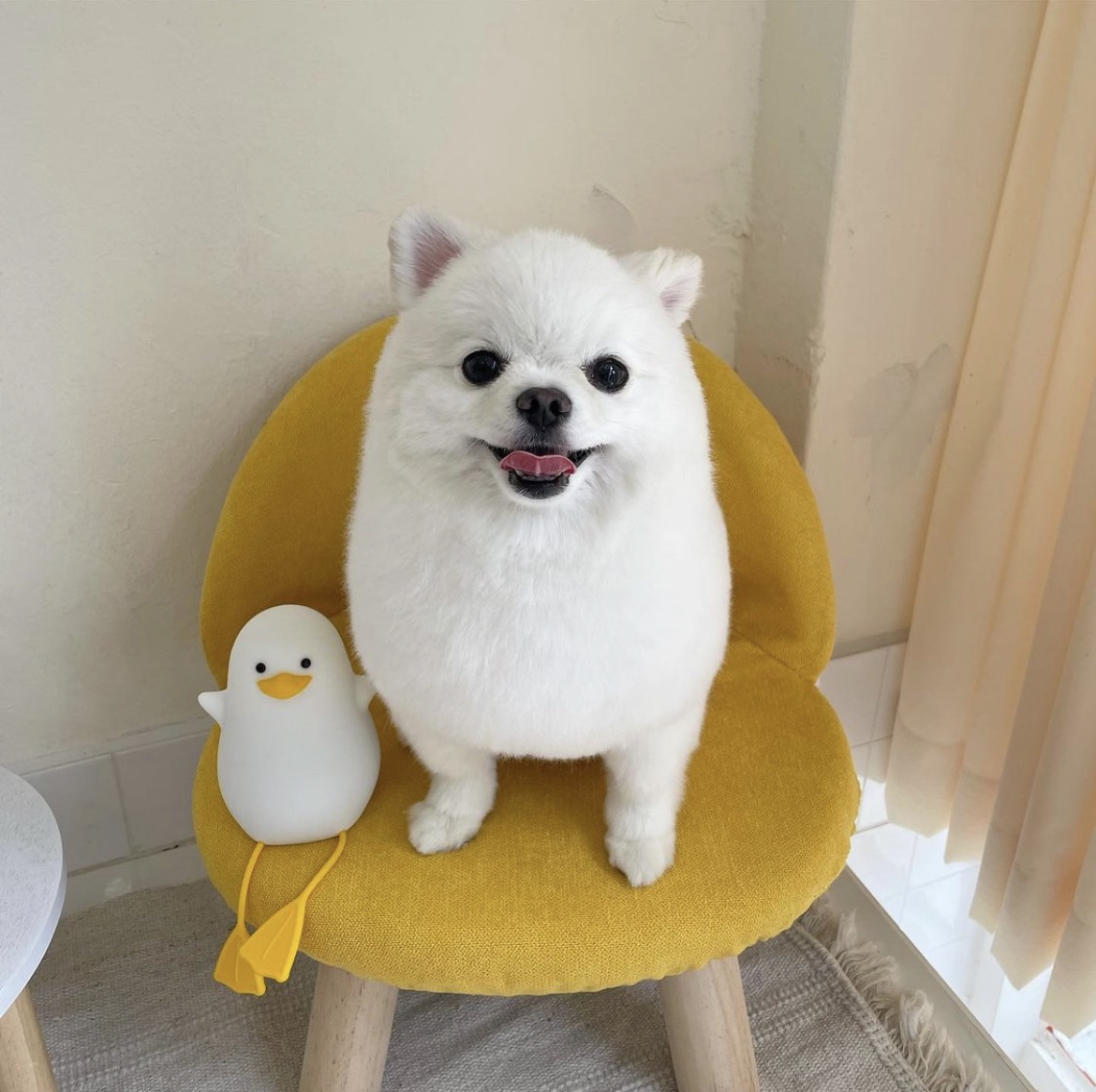 머뭉공간 대표 이미지