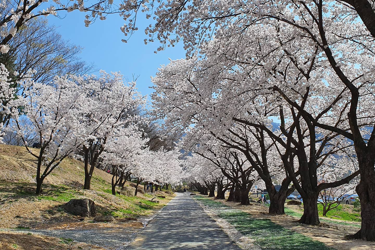 가산수피아