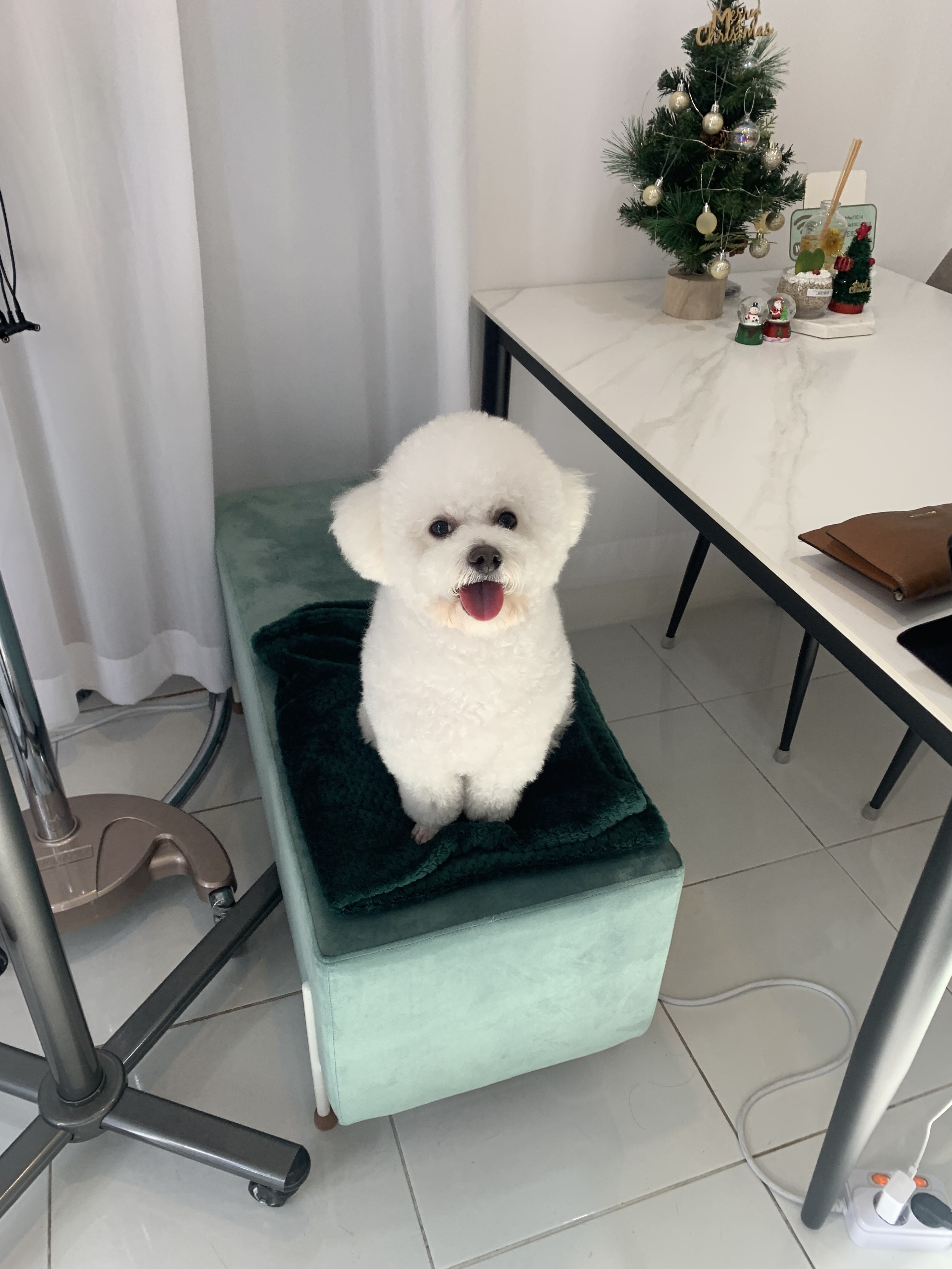 헤어샵 씨엘 문덕점