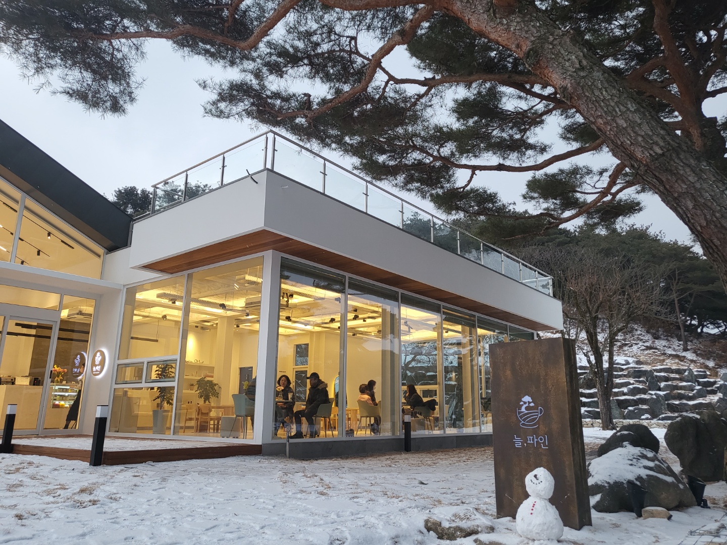 늘,파인