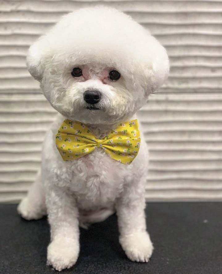 주변 가볼만한 곳