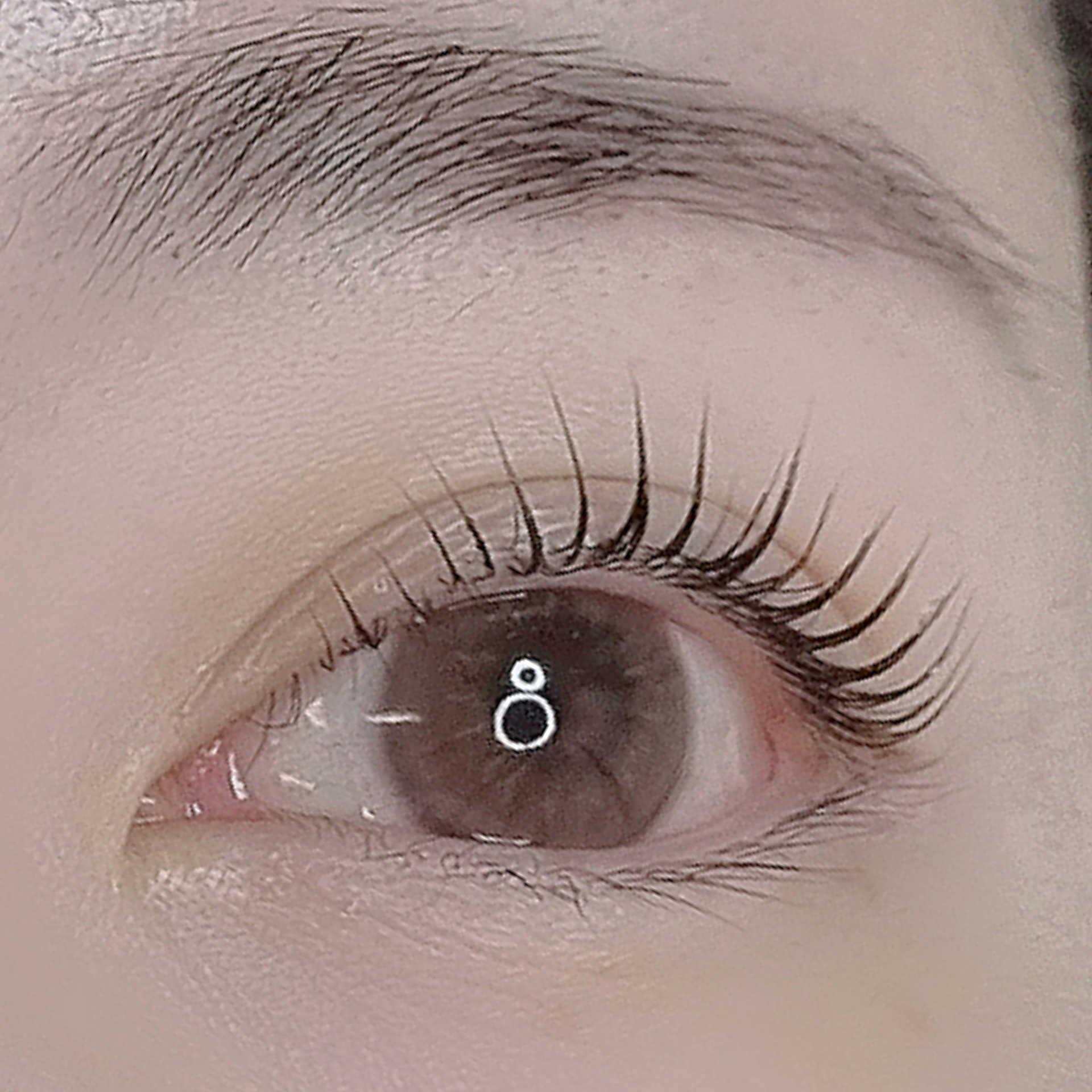 브로우제니아르 양주옥정점