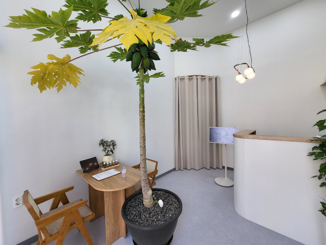 로렐스파 photo 9