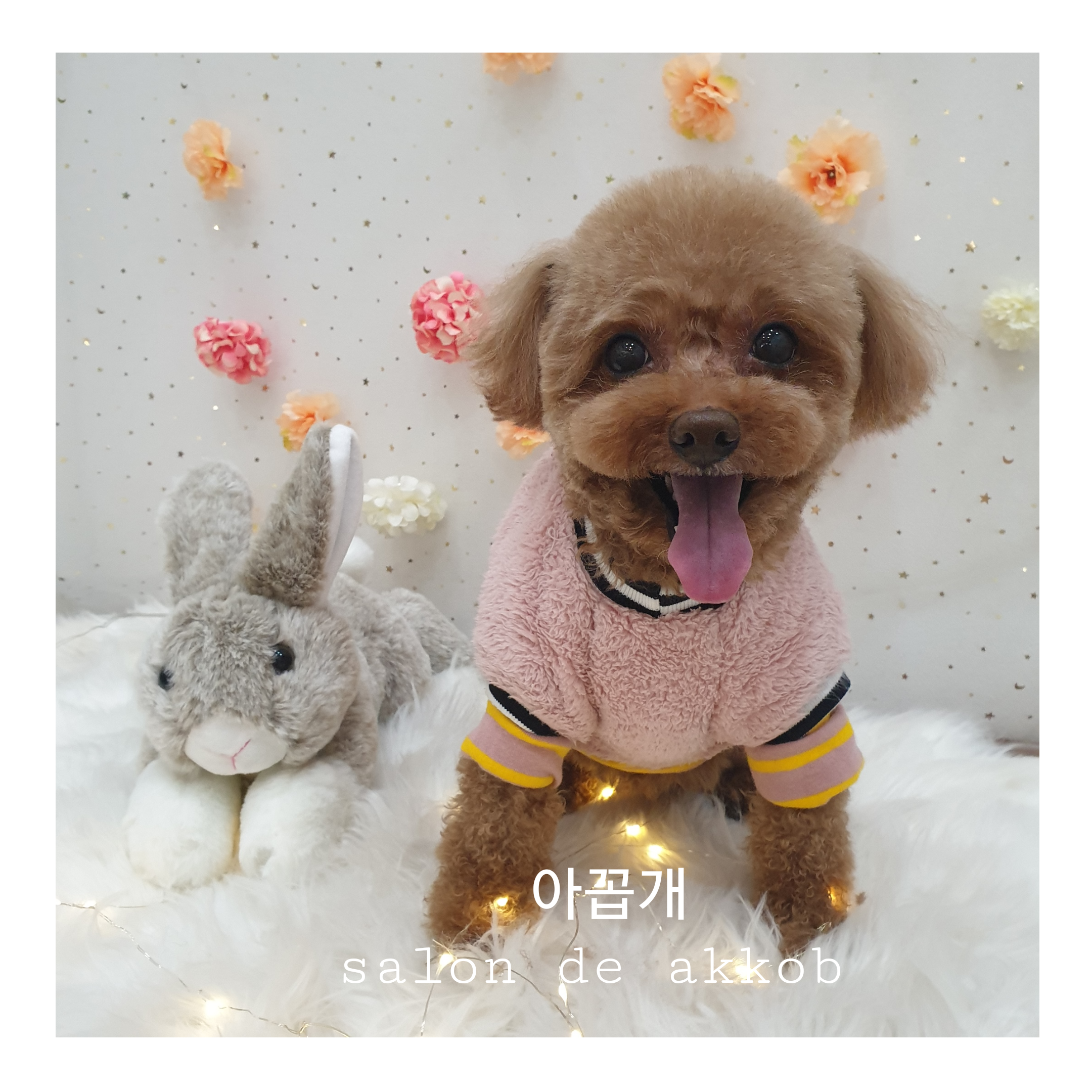 아꼽개 대표 이미지