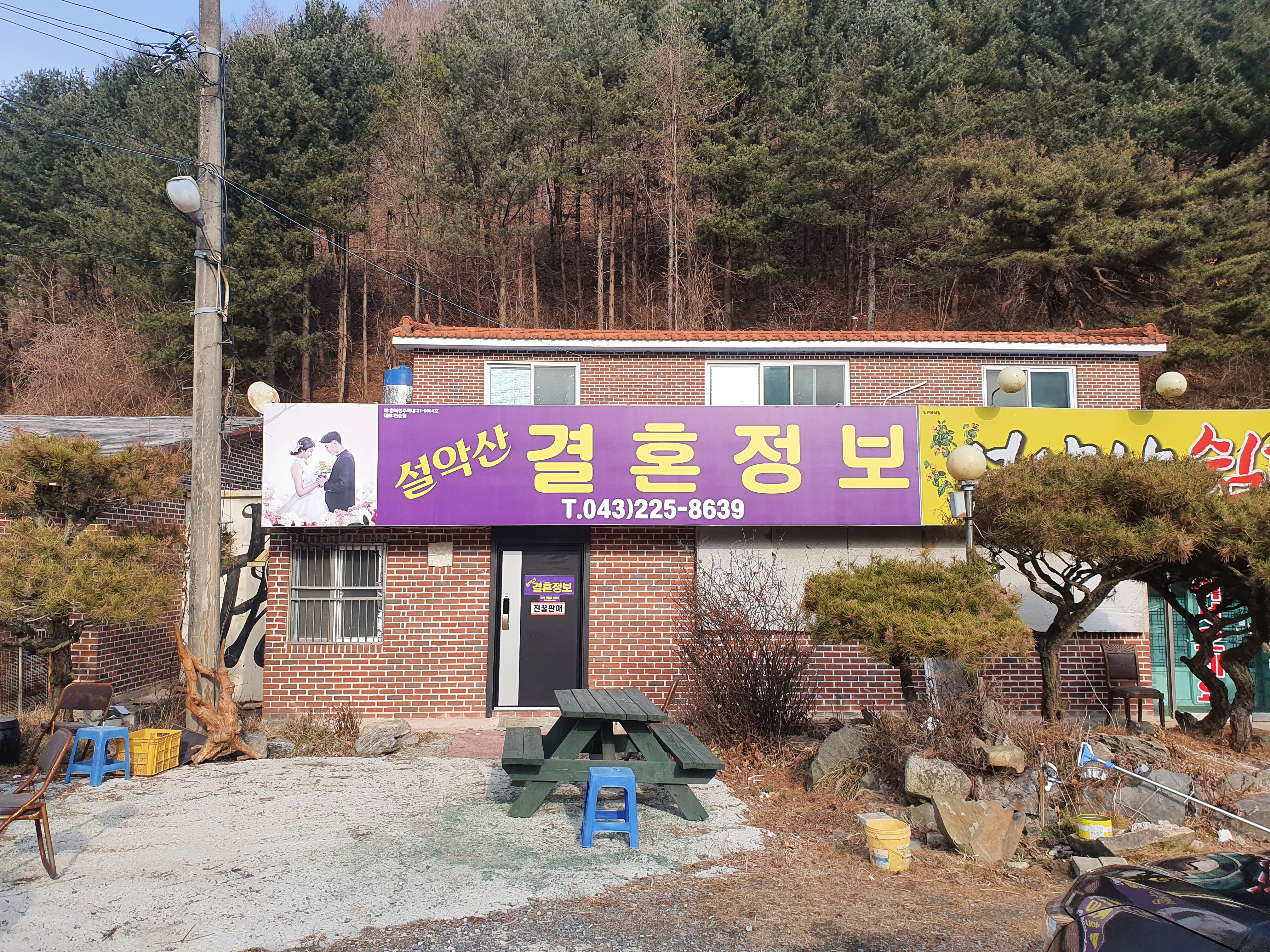 설악산결혼정보