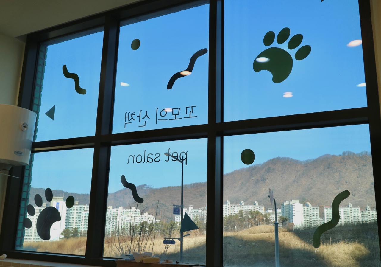 꼬모의 산책 대표 이미지