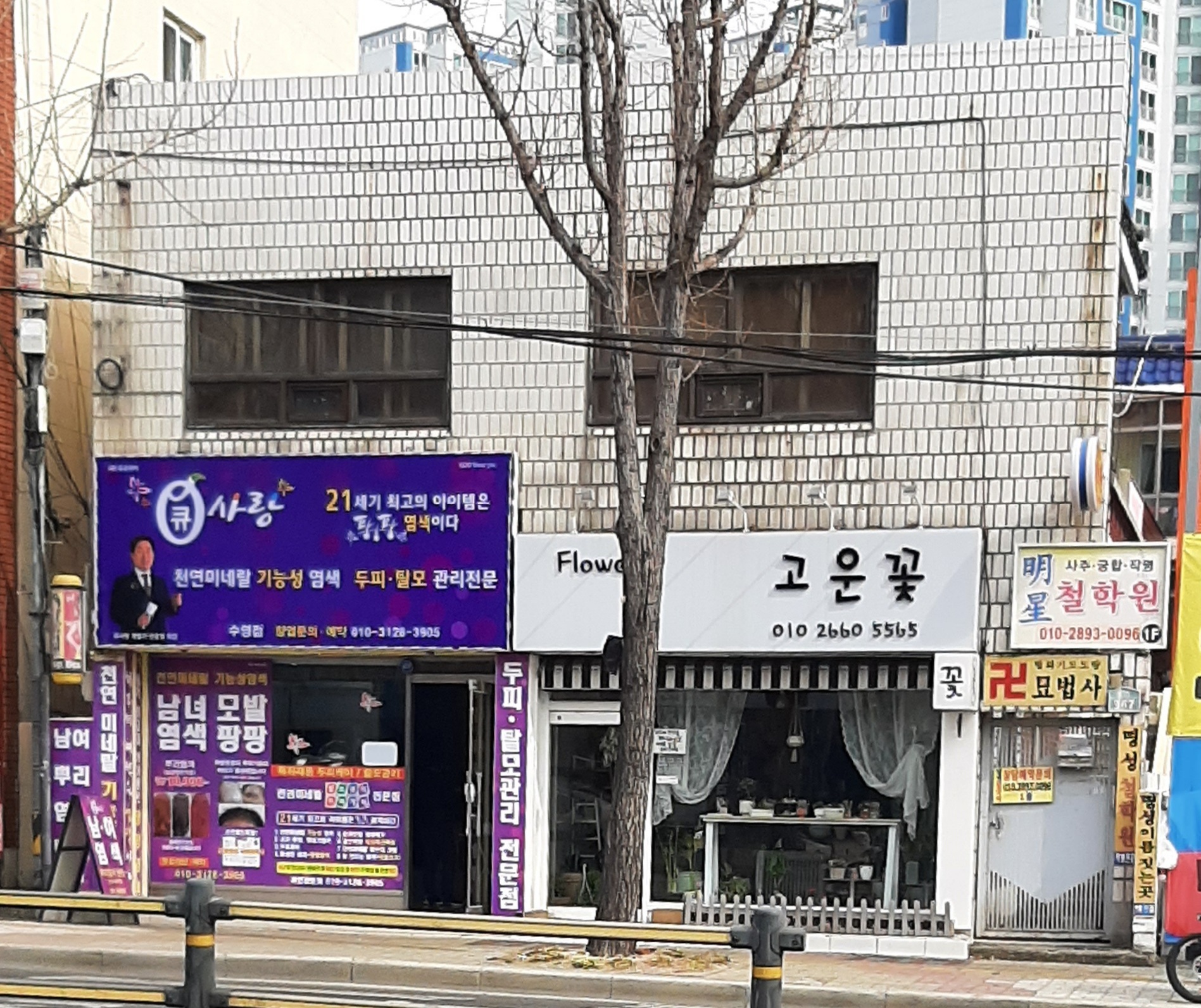 큐사랑 수영점