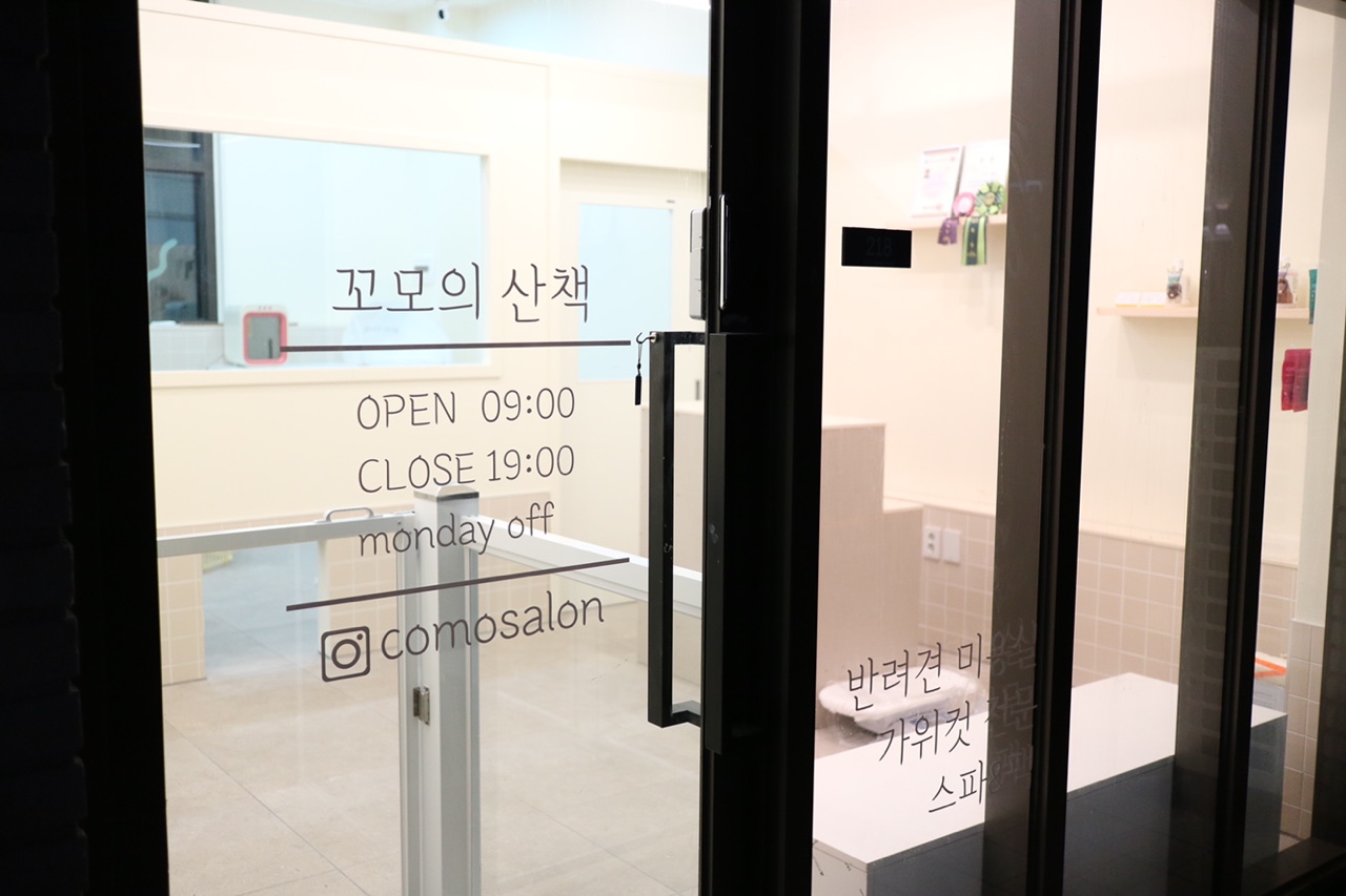 꼬모의 산책 대표 이미지