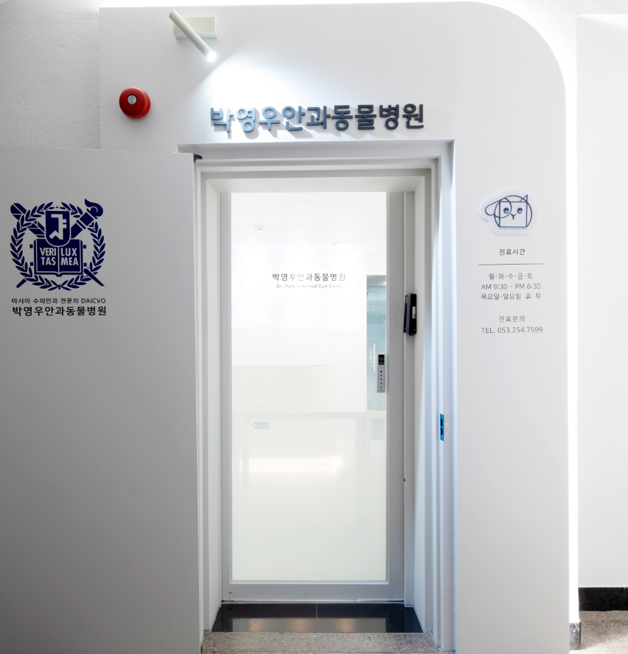 박영우안과동물병원 대표 이미지