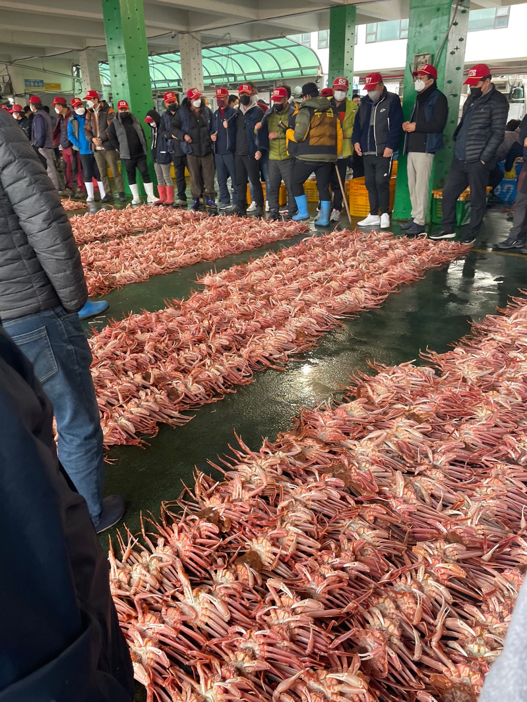 새천년회대게 설명사진