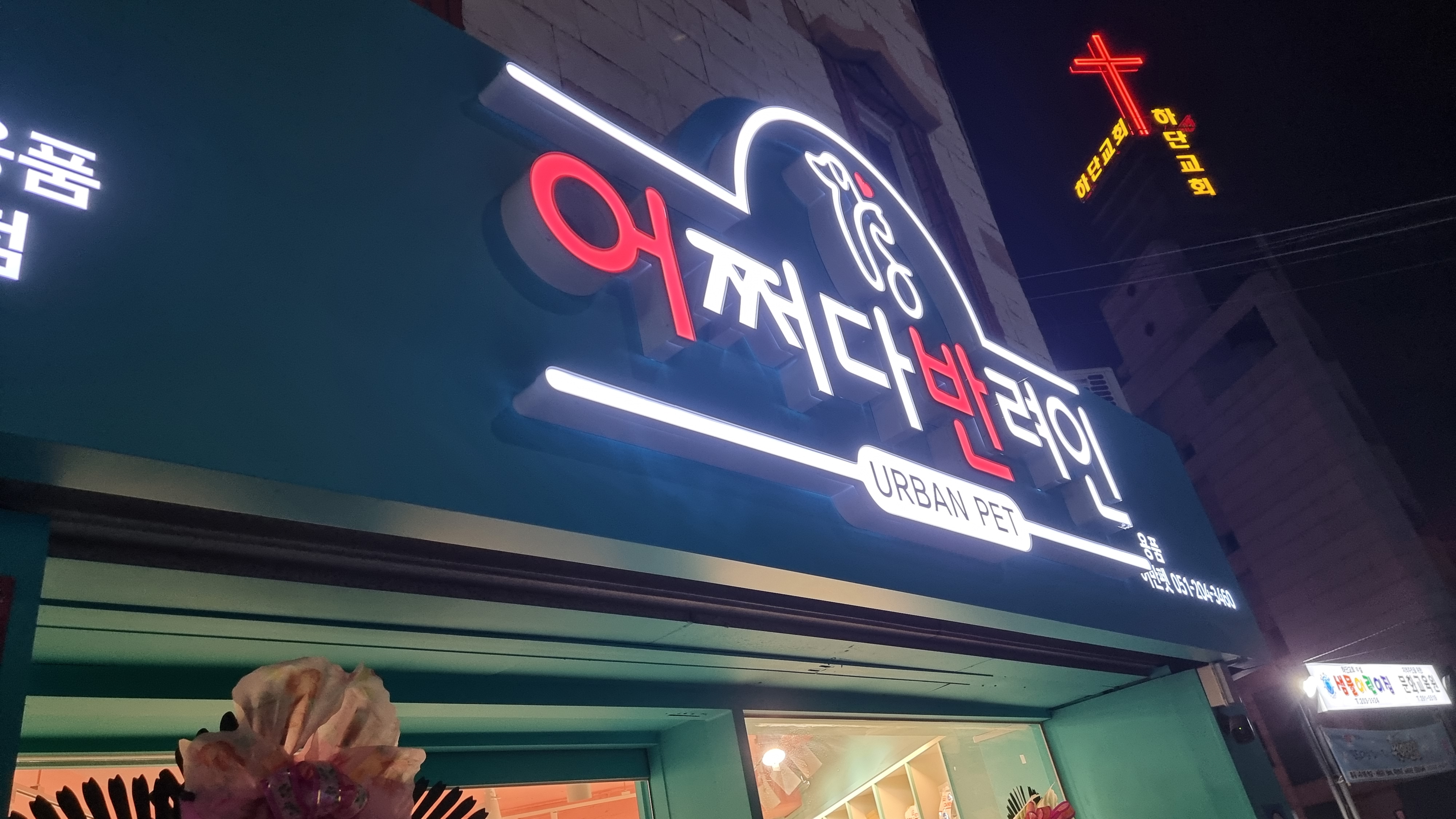 어쩌다반려인