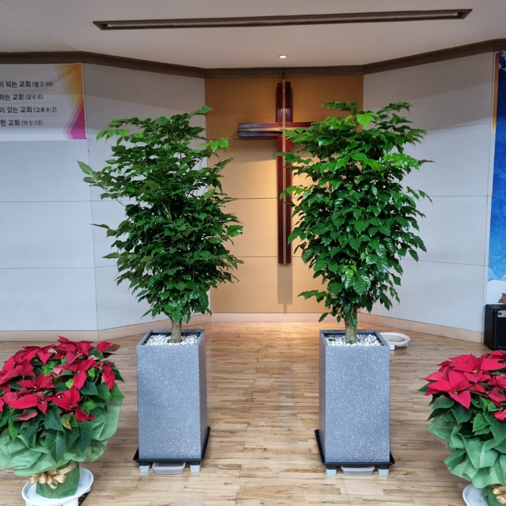 인천꽃직매장