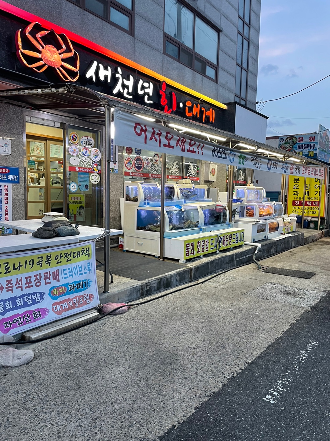 새천년회대게