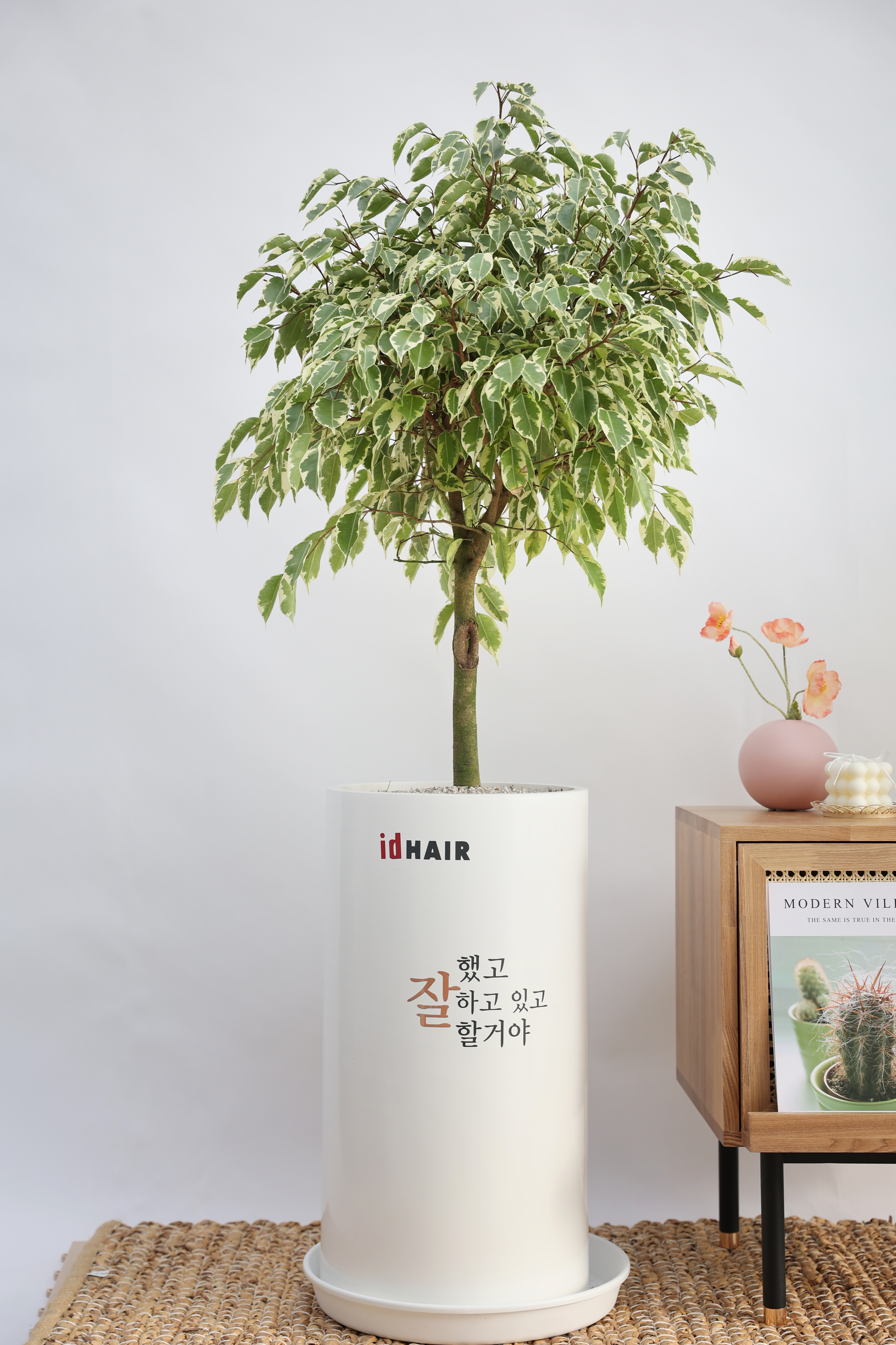 플랜토 일산점