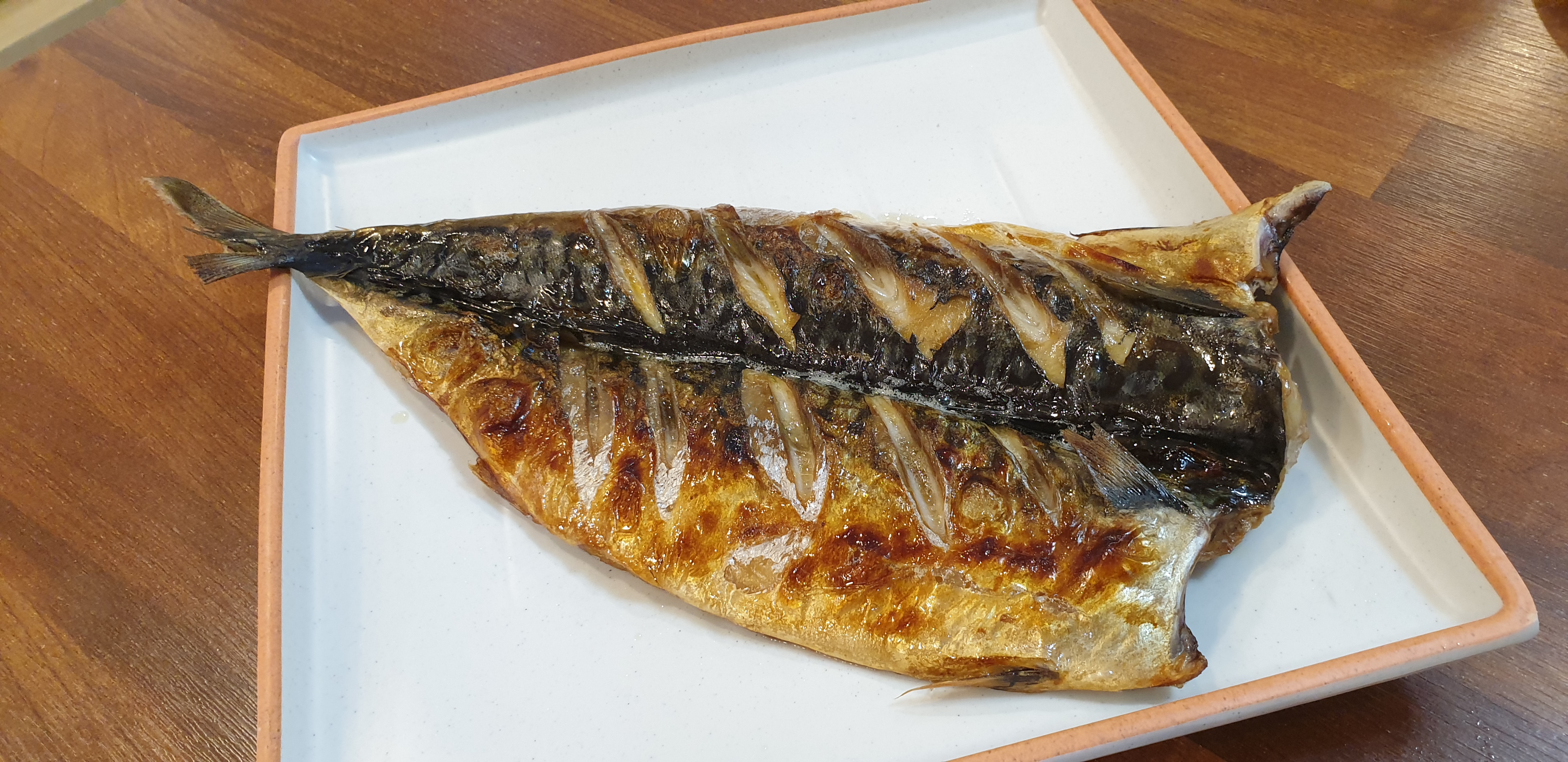 제주동백을담다