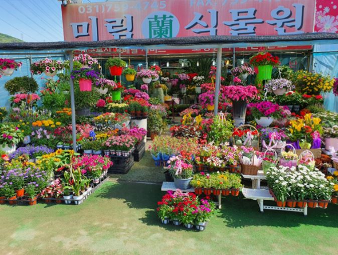 미림식물원