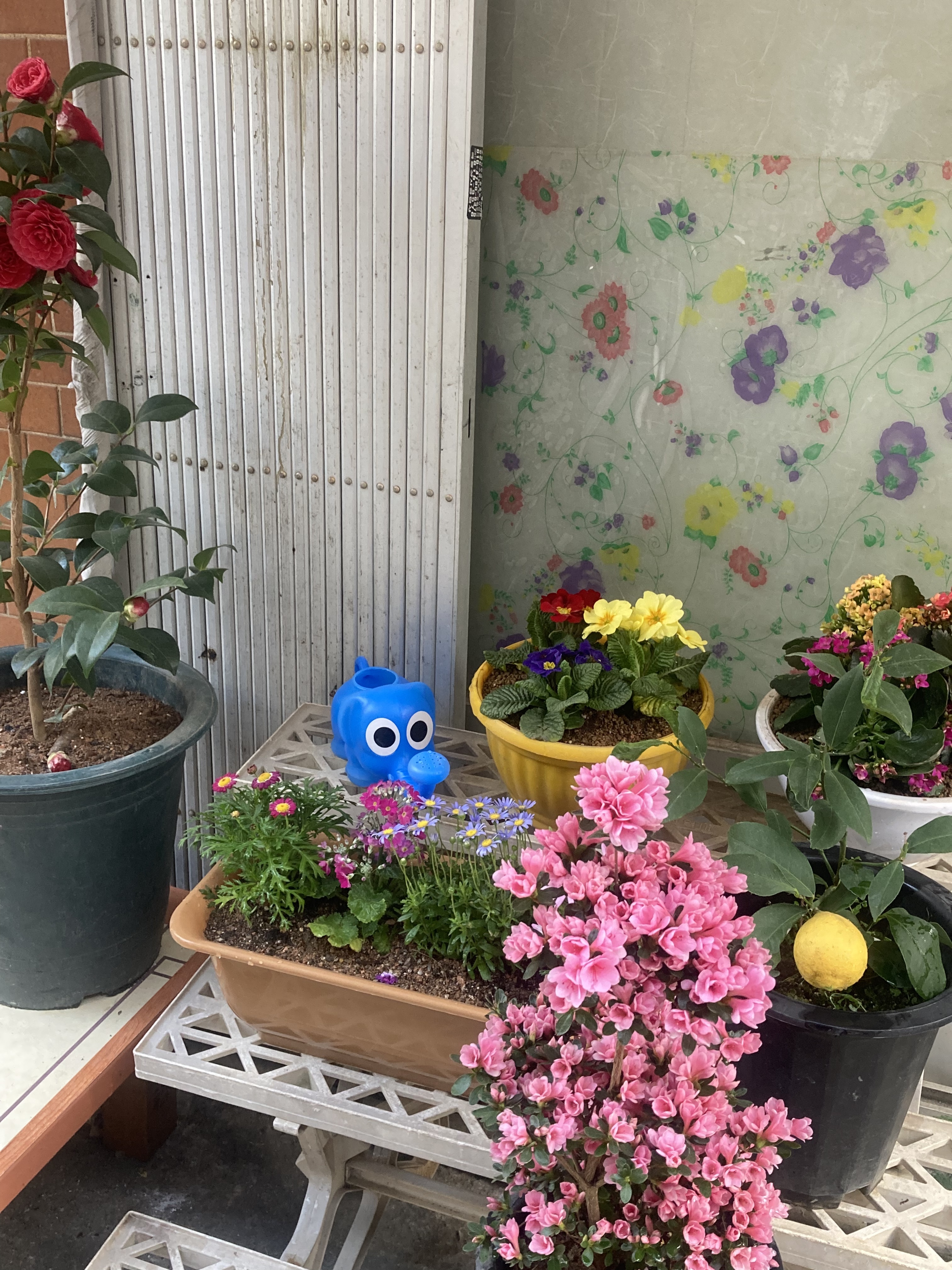 두루미 대표 이미지