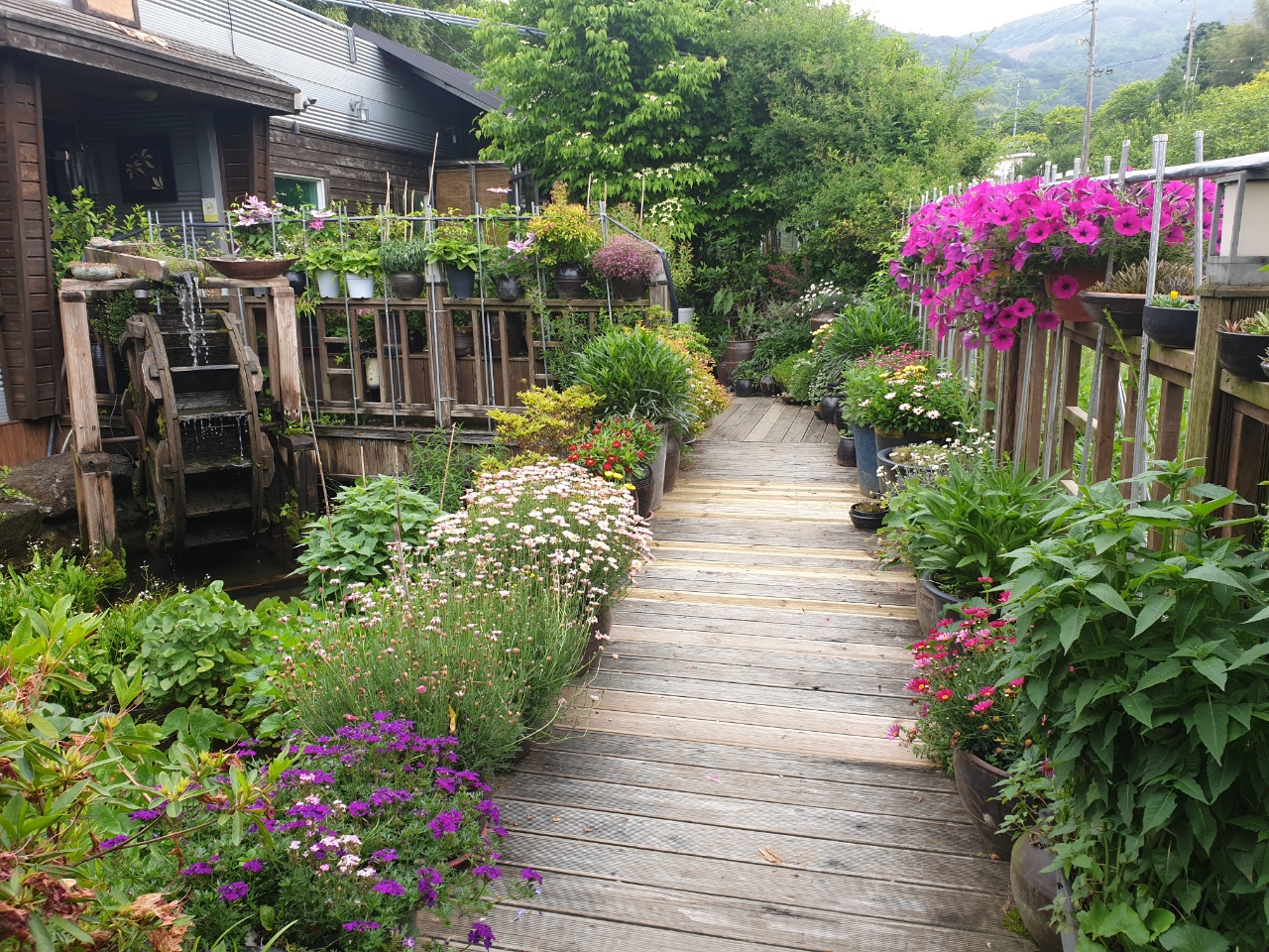 그냥 산야초찻집