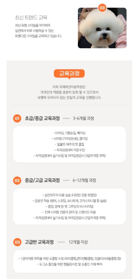 순천국제애견미용학원