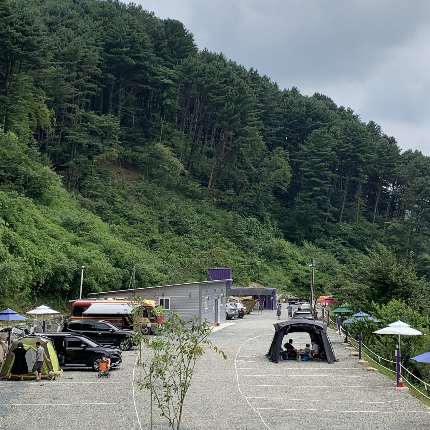대룡산 오토캠핑장