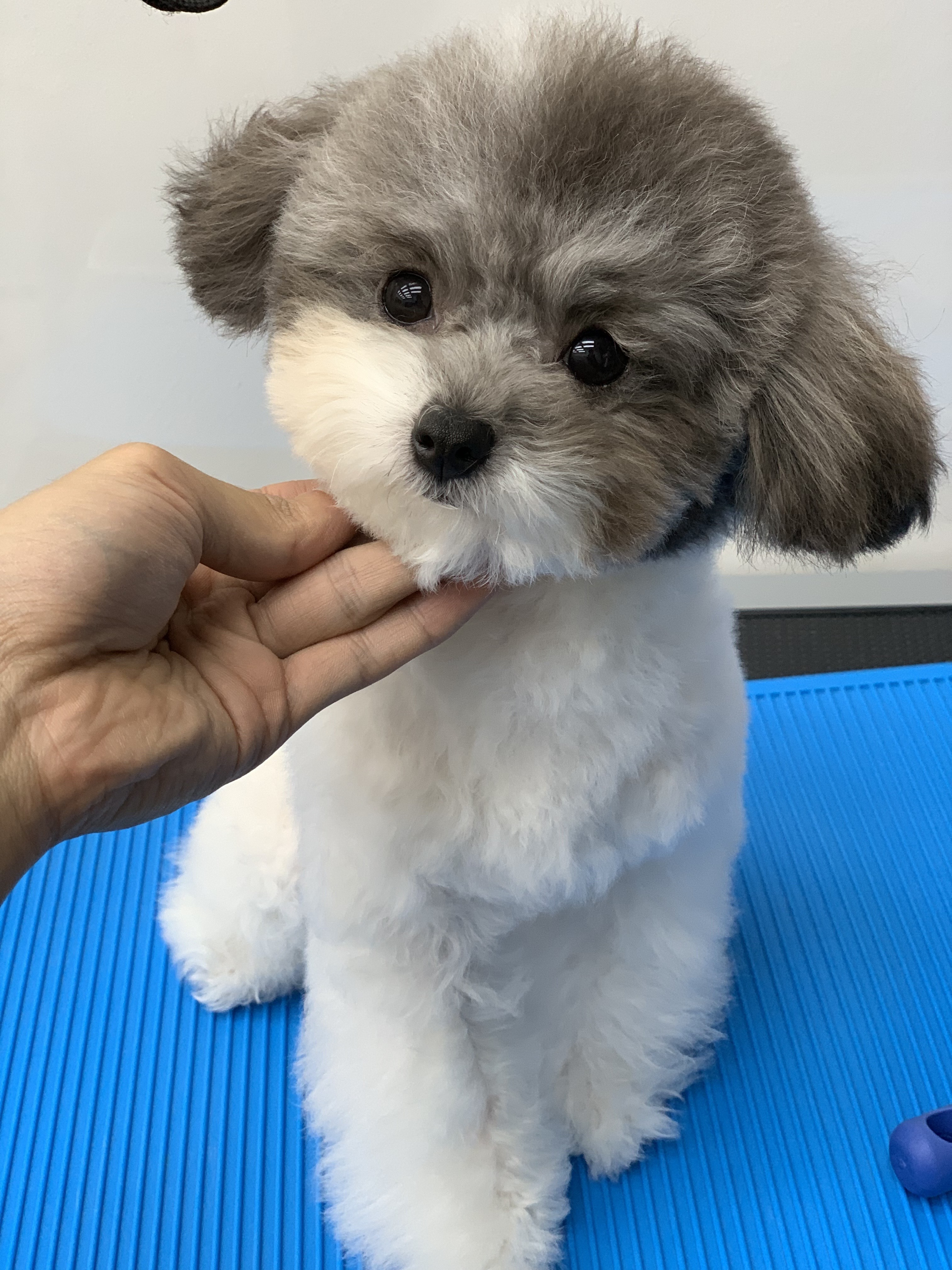 이미지