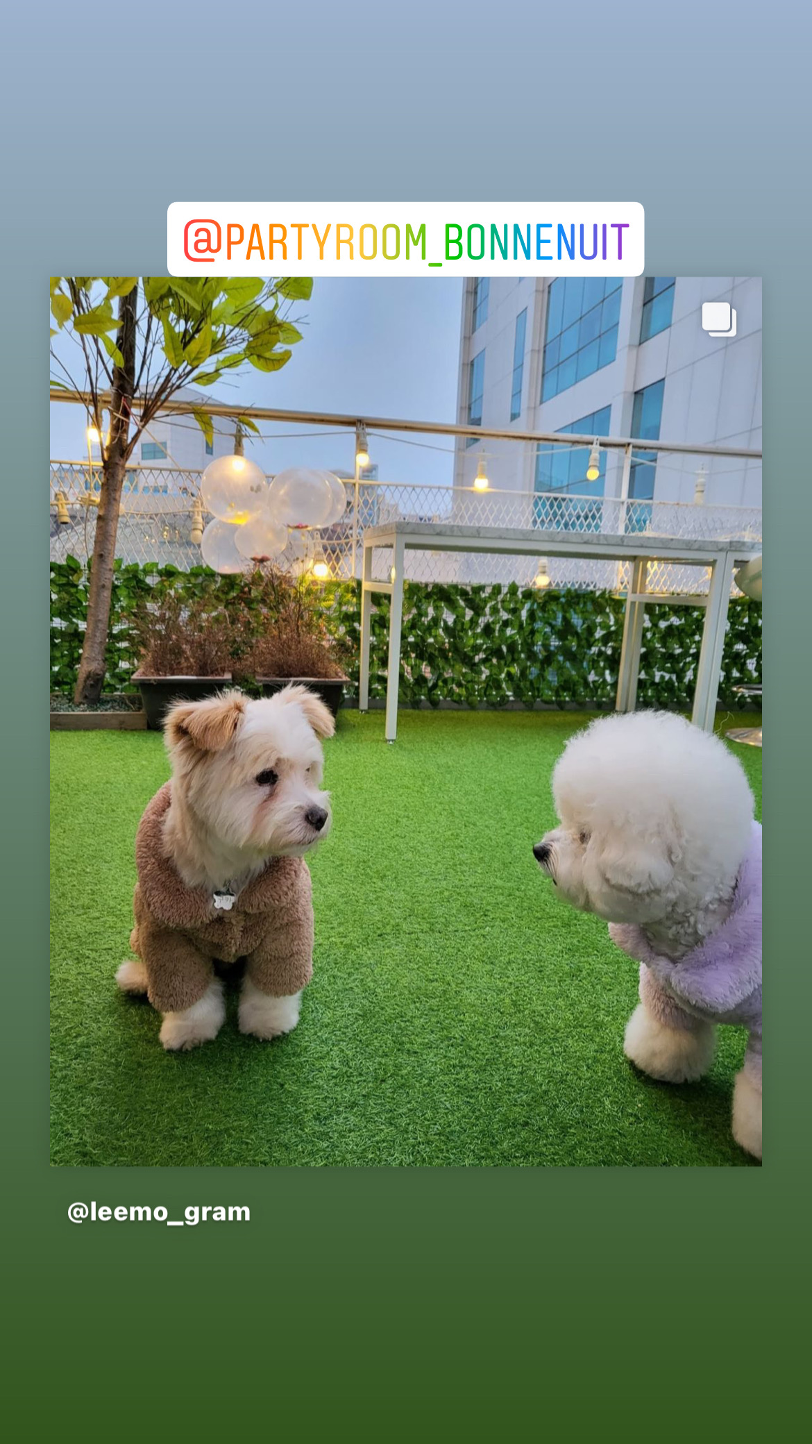 본뉘펜트하우스 3