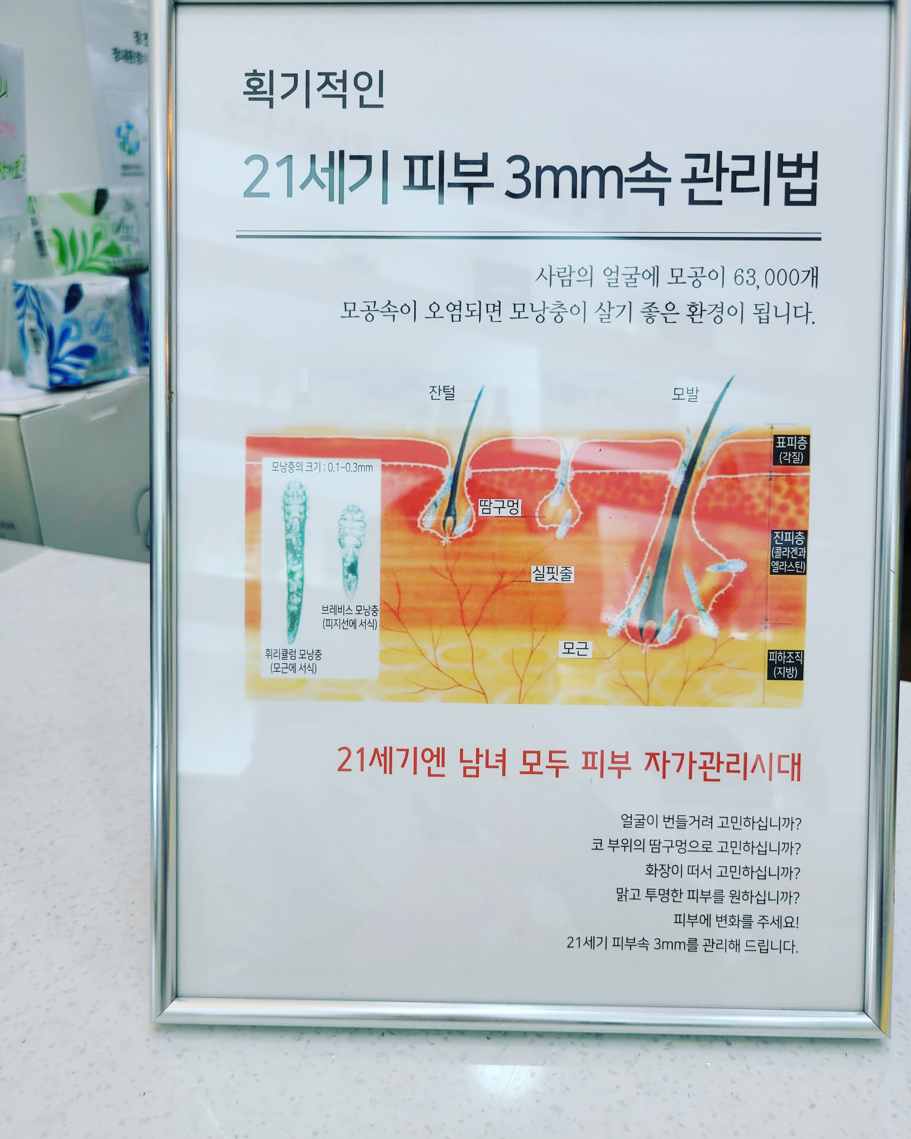 올가드림뷰티 봉동둔산점 대표 이미지