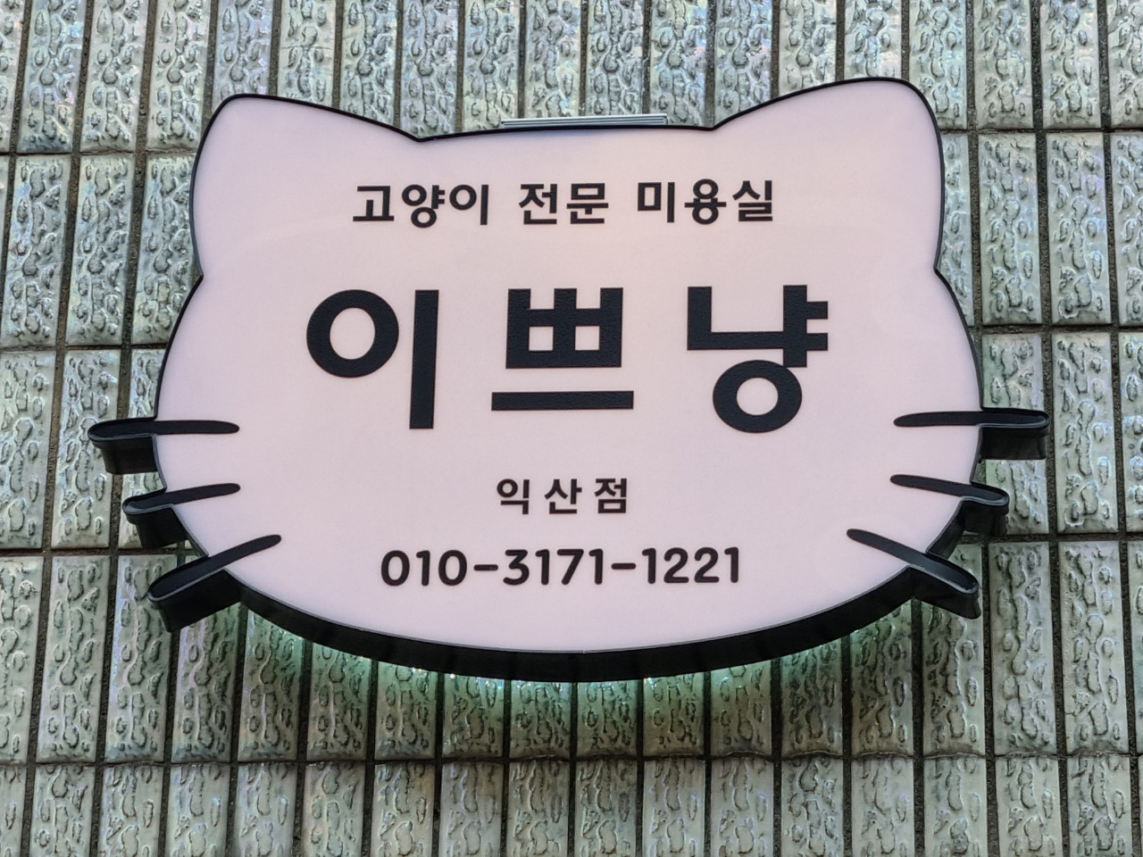 이쁘냥 고양이미용실 익산점