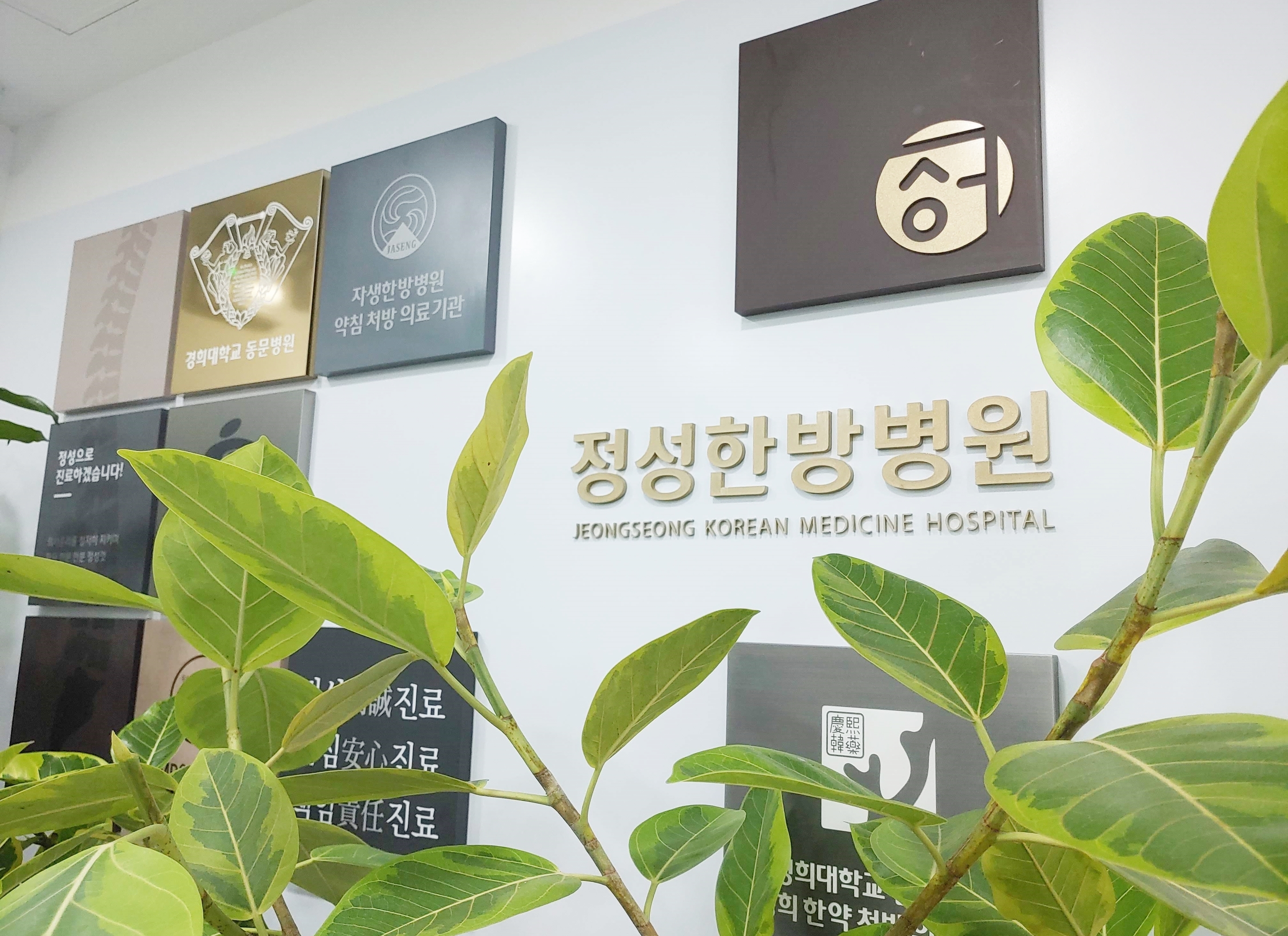 정성한방병원 대표 이미지