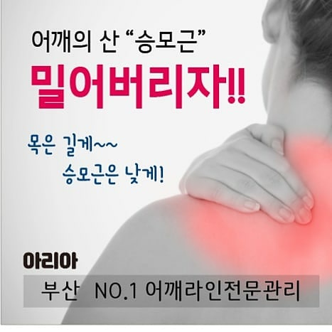 아리아스파 photo 3