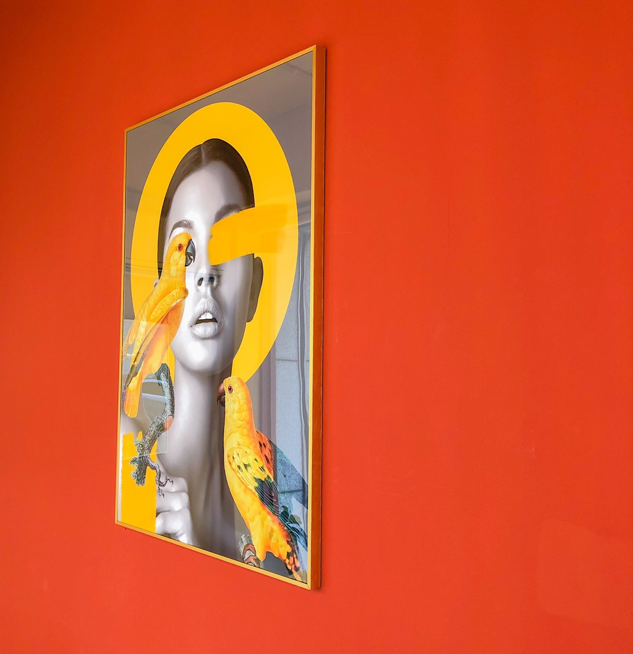 썬라이즈 대표 이미지