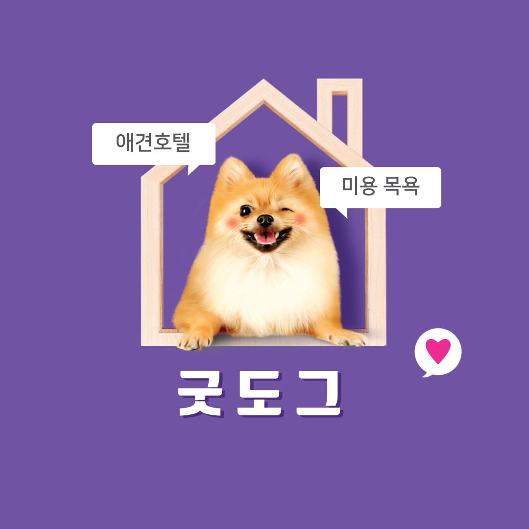 이미지