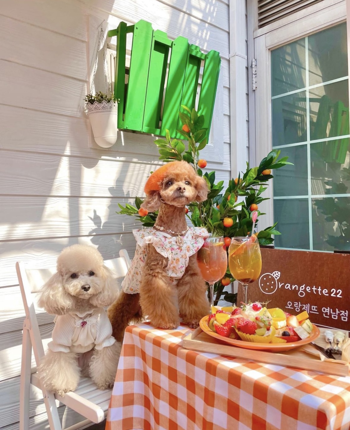 오랑제뜨22 대표 이미지
